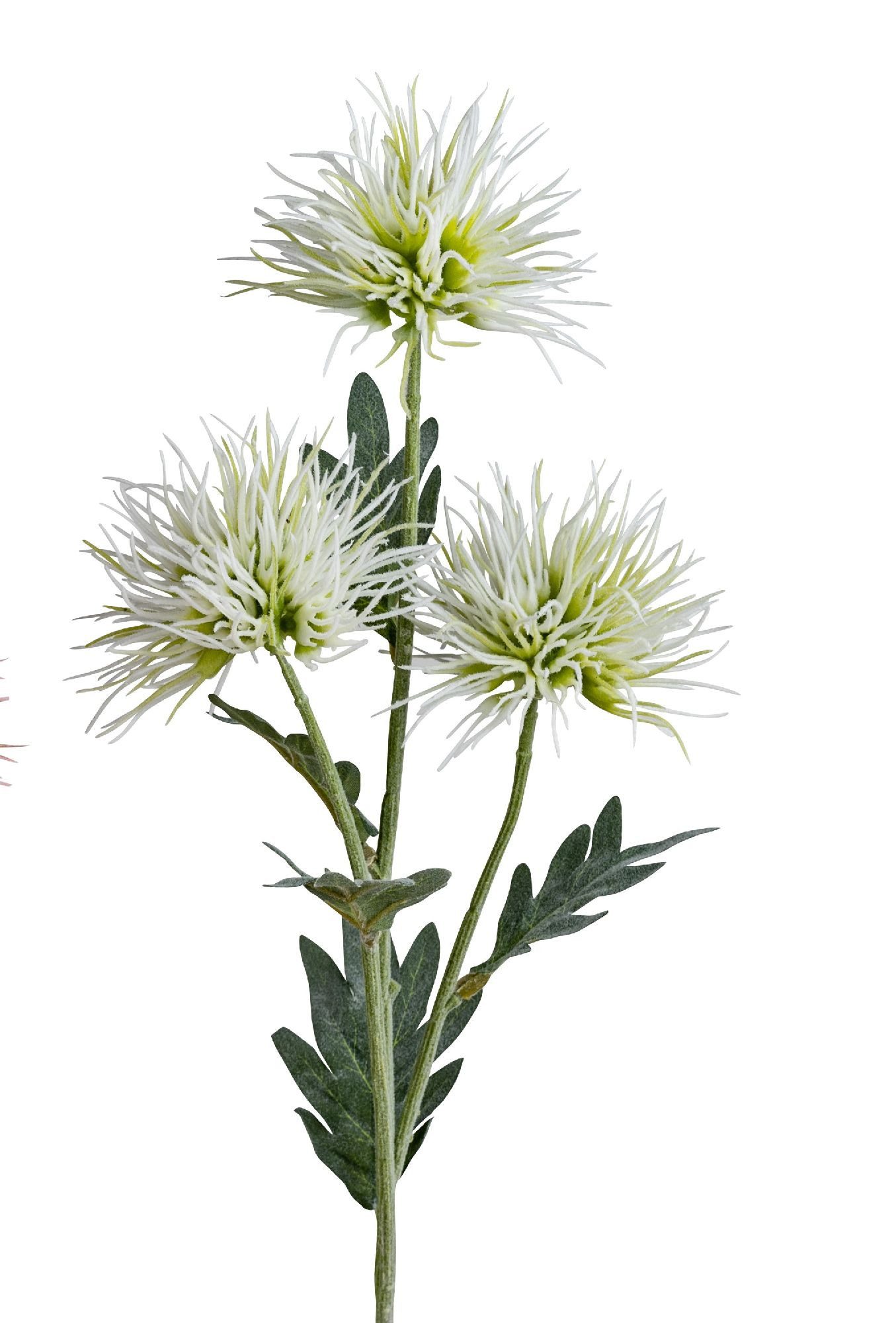 Kunstblume Frühlingszeit, formano, Höhe 68 cm, Höhe: 68cm, Farbe: Weiß, Motiv: Distel