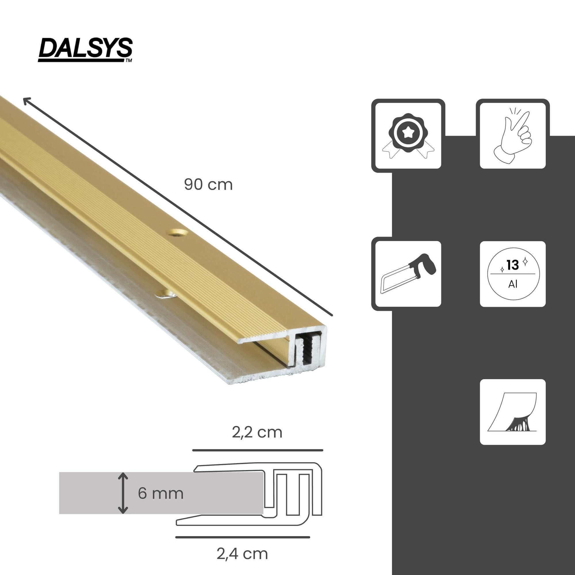 Dalsys Übergangsprofil (Aluminium, 1-St), Übergangsprofil aus günstig online kaufen