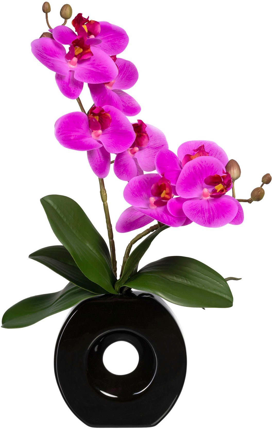 Kunstorchideen online kaufen » künstliche Orchideen | OTTO