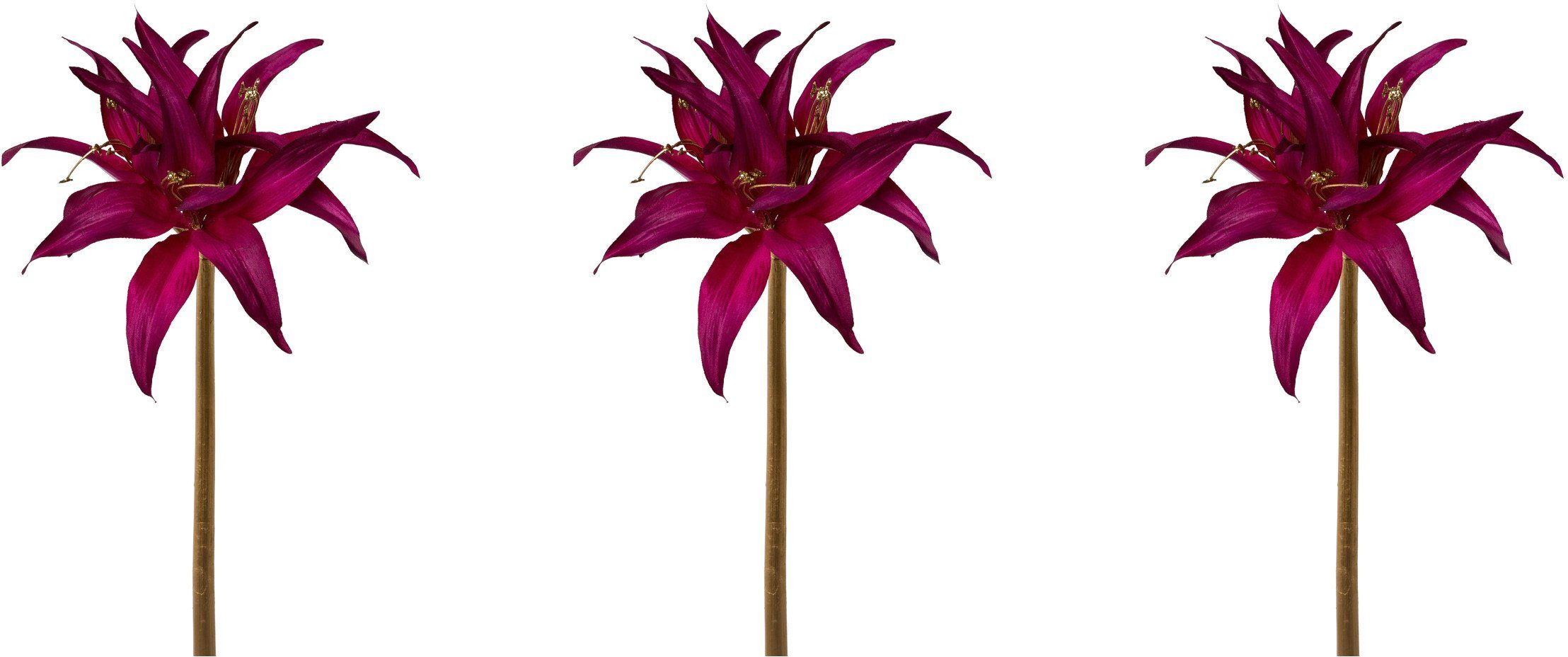 Winterliche Kunstpflanze Weihnachtsdeko Amaryllis, Creativ green, Höhe 52 cm,  tolle Kombi: purple mit goldfarben, 3er-Set | Kunstblumen