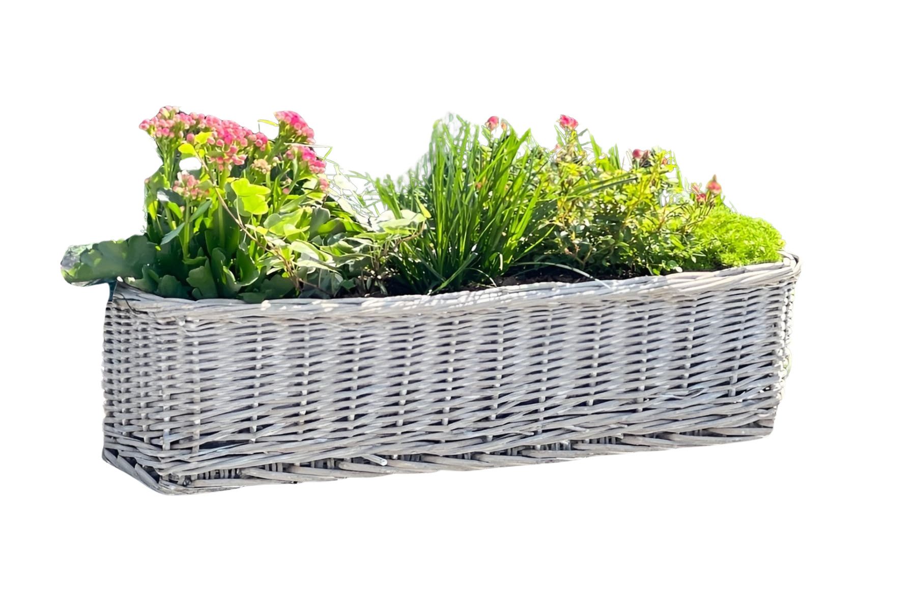 Dekoleidenschaft Blumenkasten aus Rattan "Koboo Grey" 60 cm lang, grau, Balkonkasten, Pflanzkasten (1 St), Pflanzgefäß, Pflanzenkasten, Balkon & Gartendeko für Draußen