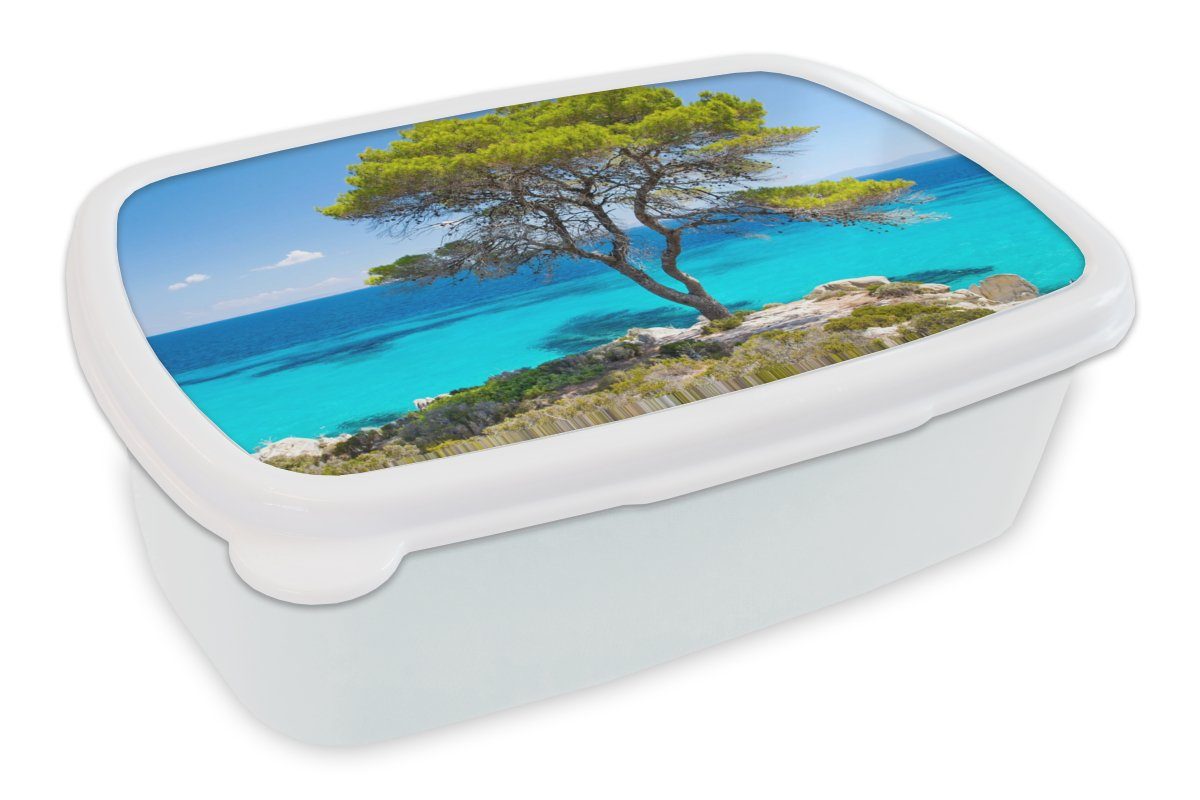 MuchoWow Lunchbox Baum - Meer - Tropisch - Sommer, Kunststoff, (2-tlg), Brotbox für Kinder und Erwachsene, Brotdose, für Jungs und Mädchen weiß