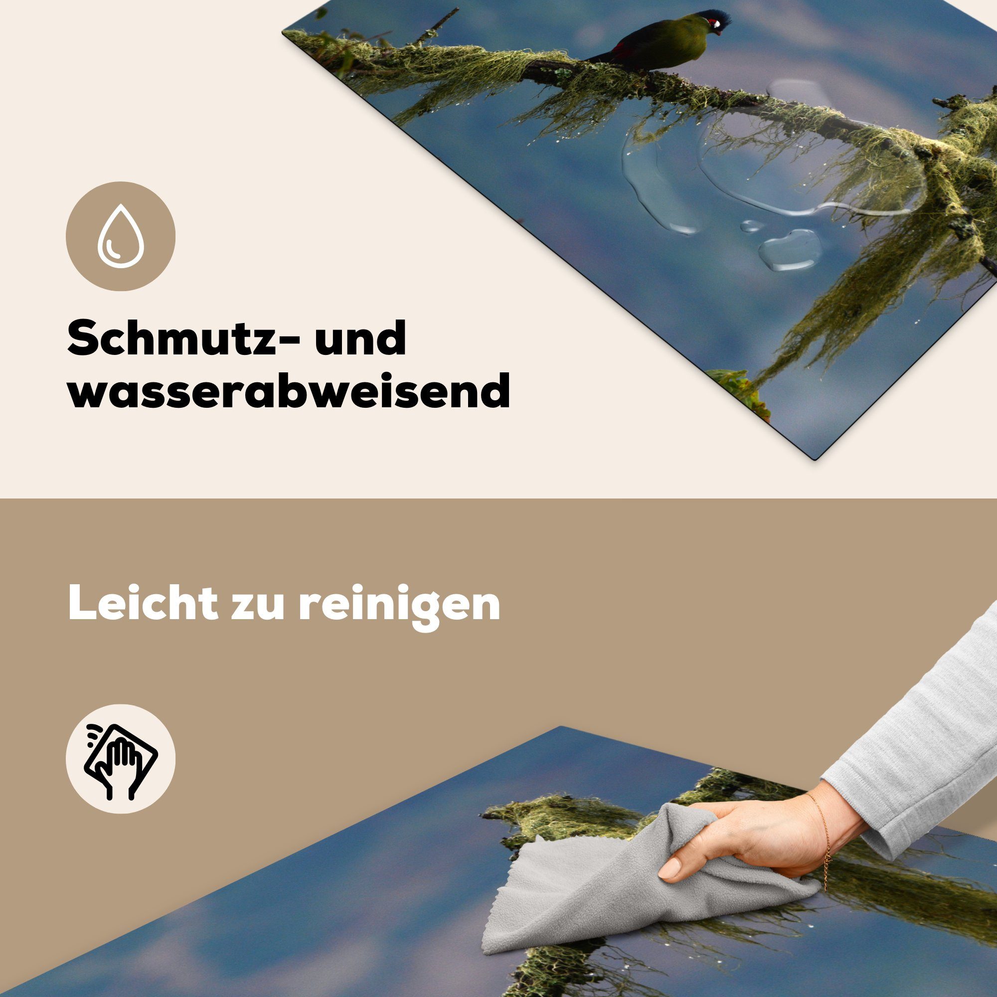 tlg), auf Ceranfeldabdeckung Zweig, turaco Schutz Hartlaubs küche, (1 die cm, 81x52 MuchoWow für Herdblende-/Abdeckplatte Vinyl, Induktionskochfeld