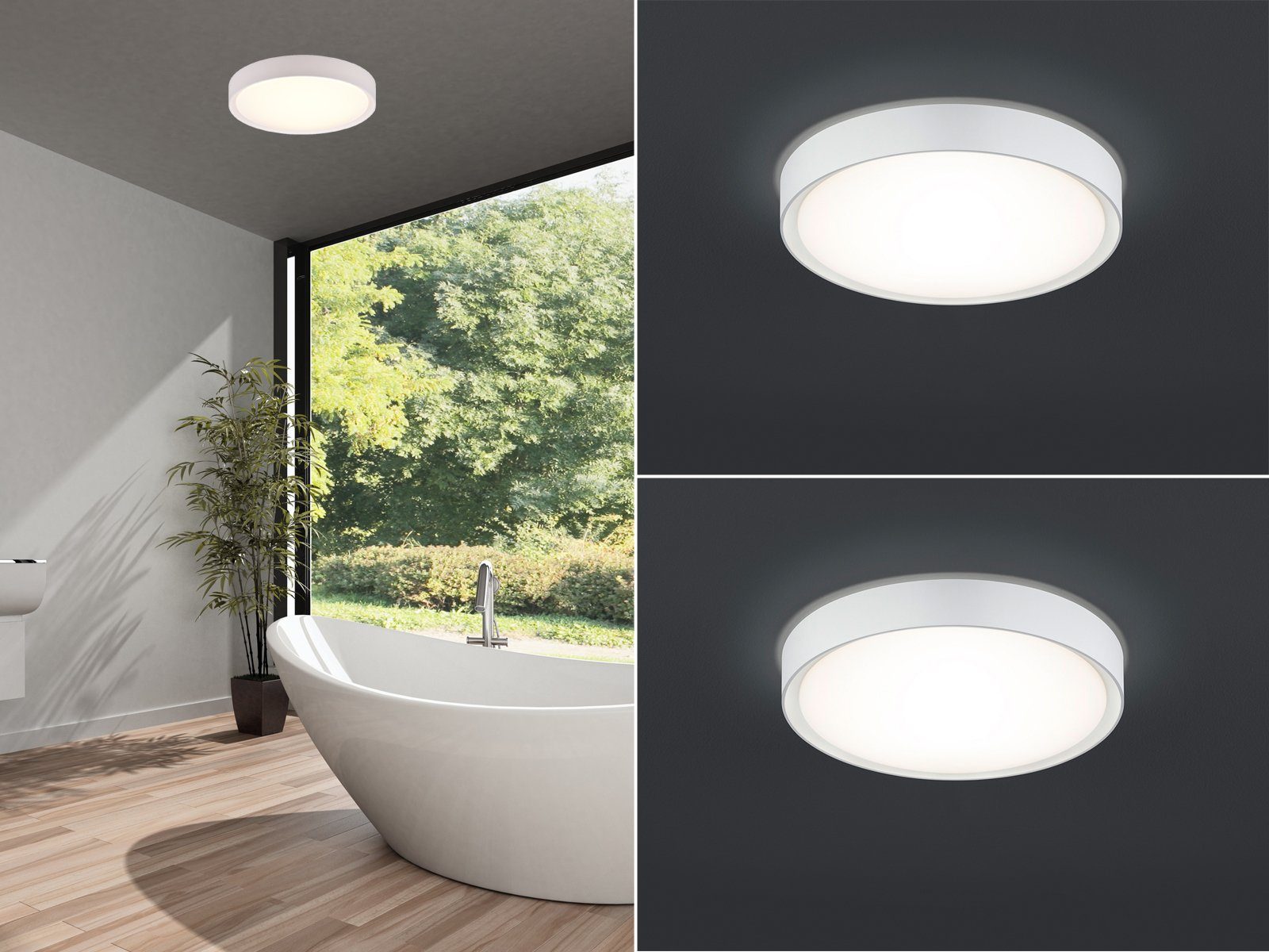 TRIO Leuchten LED Deckenleuchte, LED fest günstig online kaufen