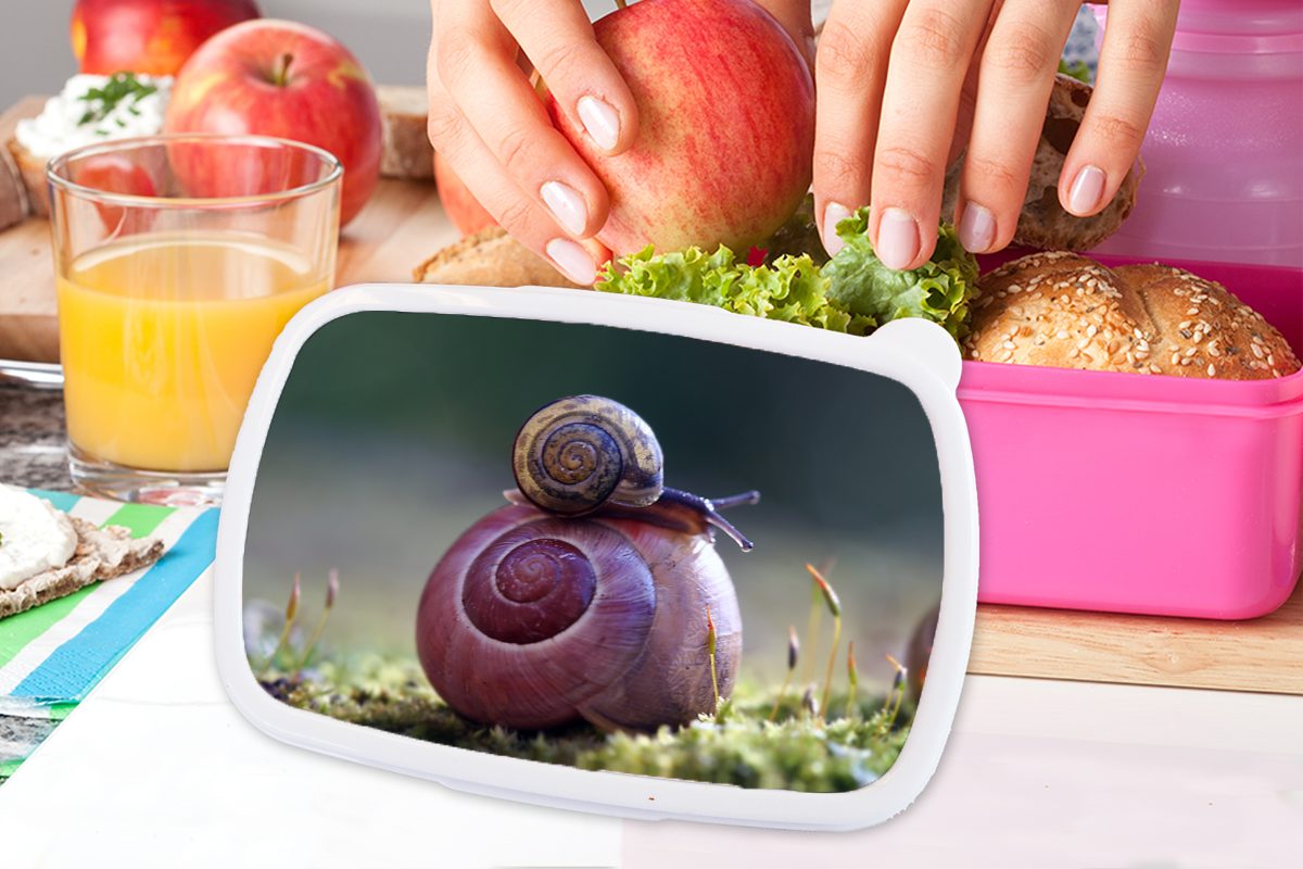 MuchoWow Lunchbox Kunststoff, - Snackbox, Frühling, (2-tlg), Erwachsene, Brotbox Brotdose Kunststoff für Kinder, Schnecken rosa Mädchen, Gras 
