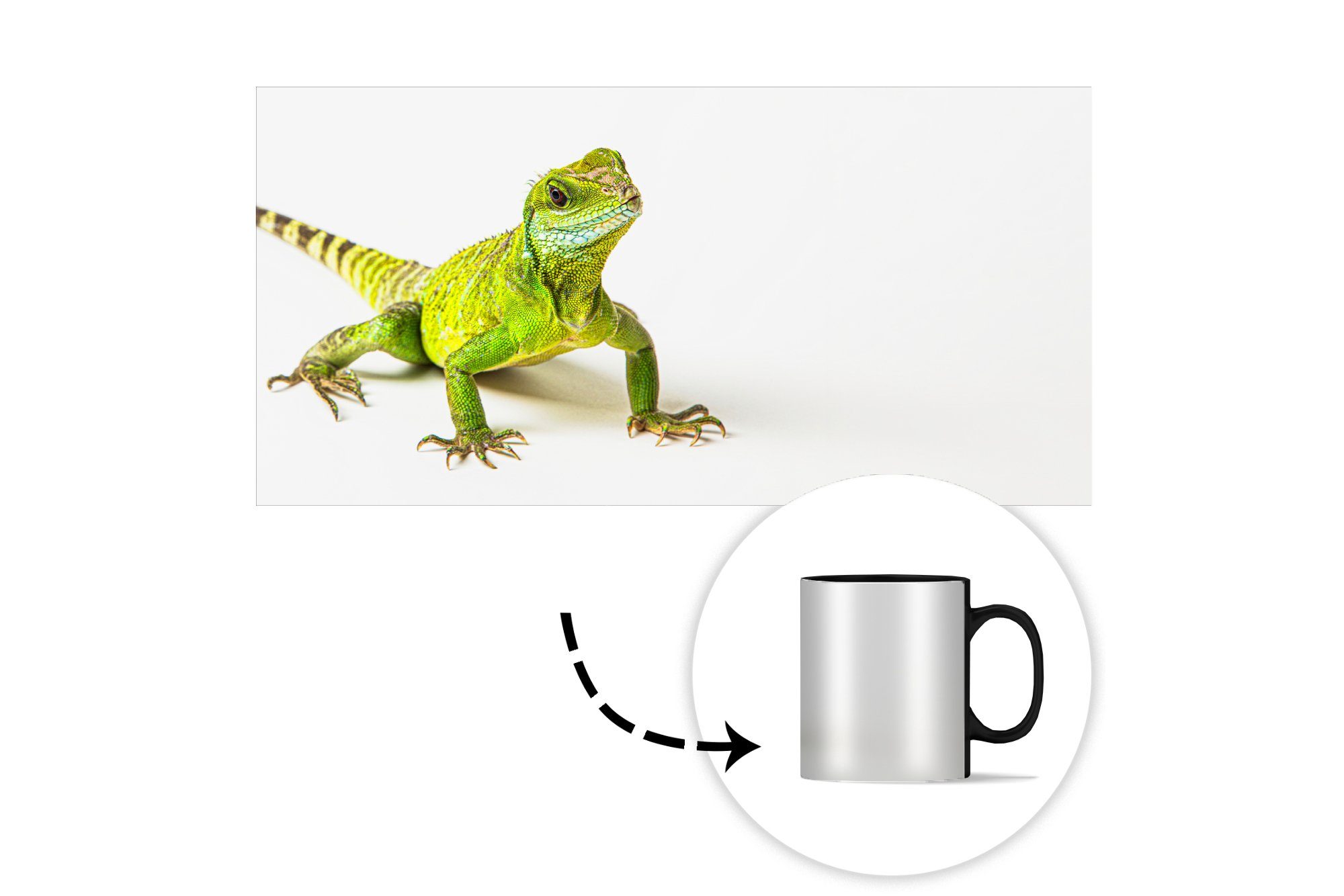MuchoWow Tasse Grün, Reptil - Zaubertasse, Teetasse, Geschenk Kaffeetassen, Farbwechsel, - Eidechse Keramik