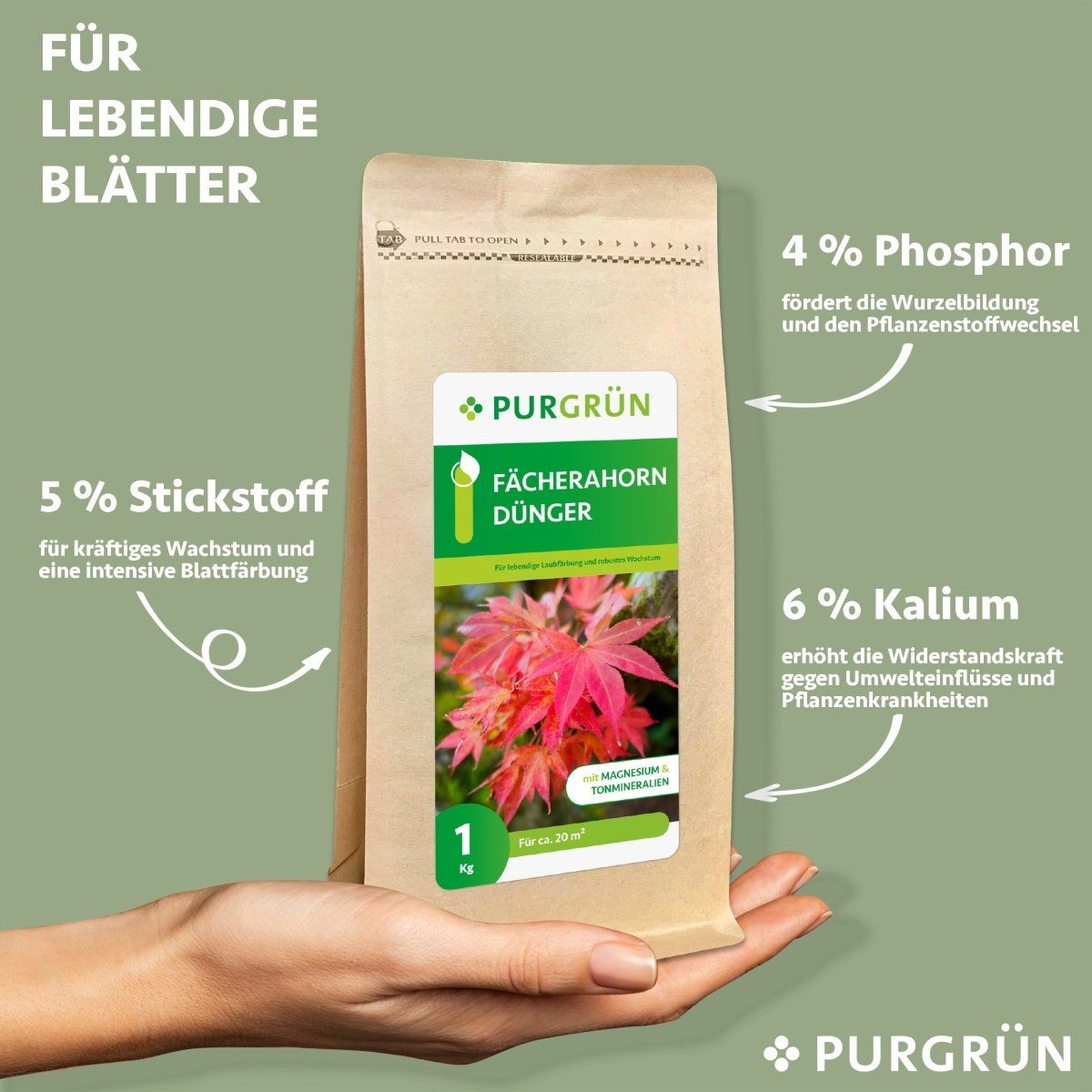 Purgrün Gartendünger Purgrün Fächerahorn Dünger, NPK günstig online kaufen