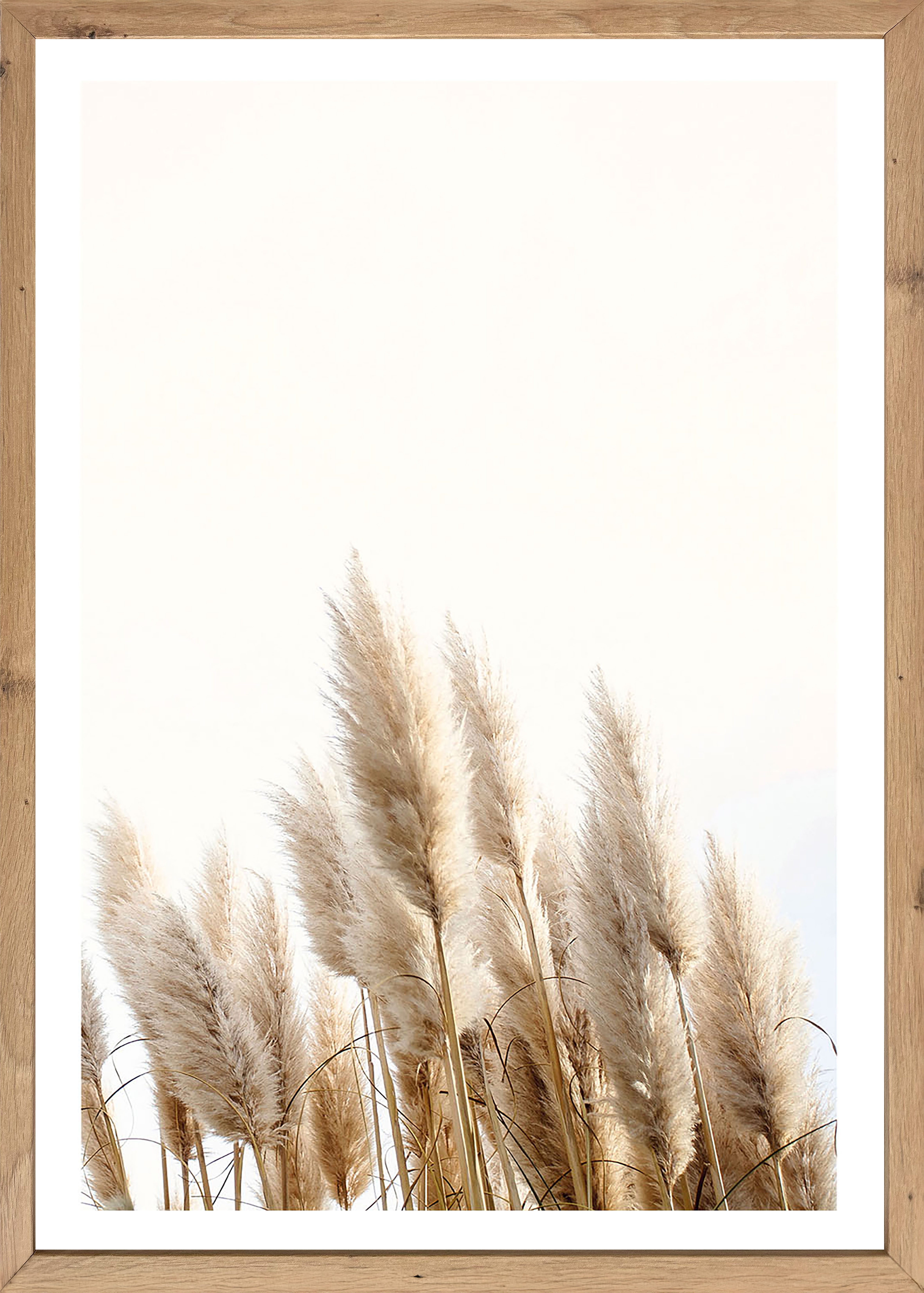 Bönninghoff Bild mit Rahmen, Gräser, Natur, Pflanzen, Pflanzenbilder (1 St)