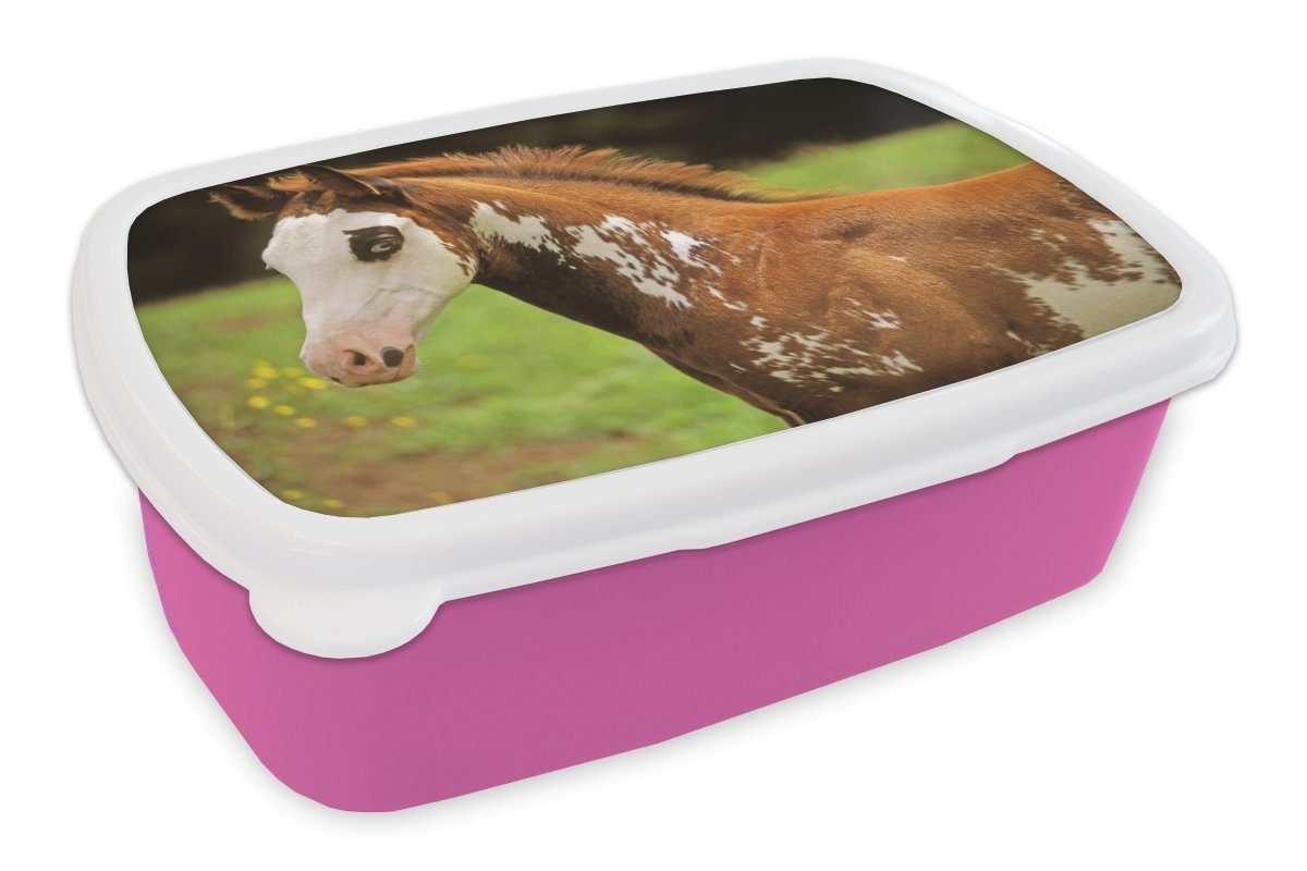 MuchoWow Lunchbox Pferd - Weiß - Braun, Kunststoff, (2-tlg), Brotbox für Erwachsene, Brotdose Kinder, Snackbox, Mädchen, Kunststoff rosa