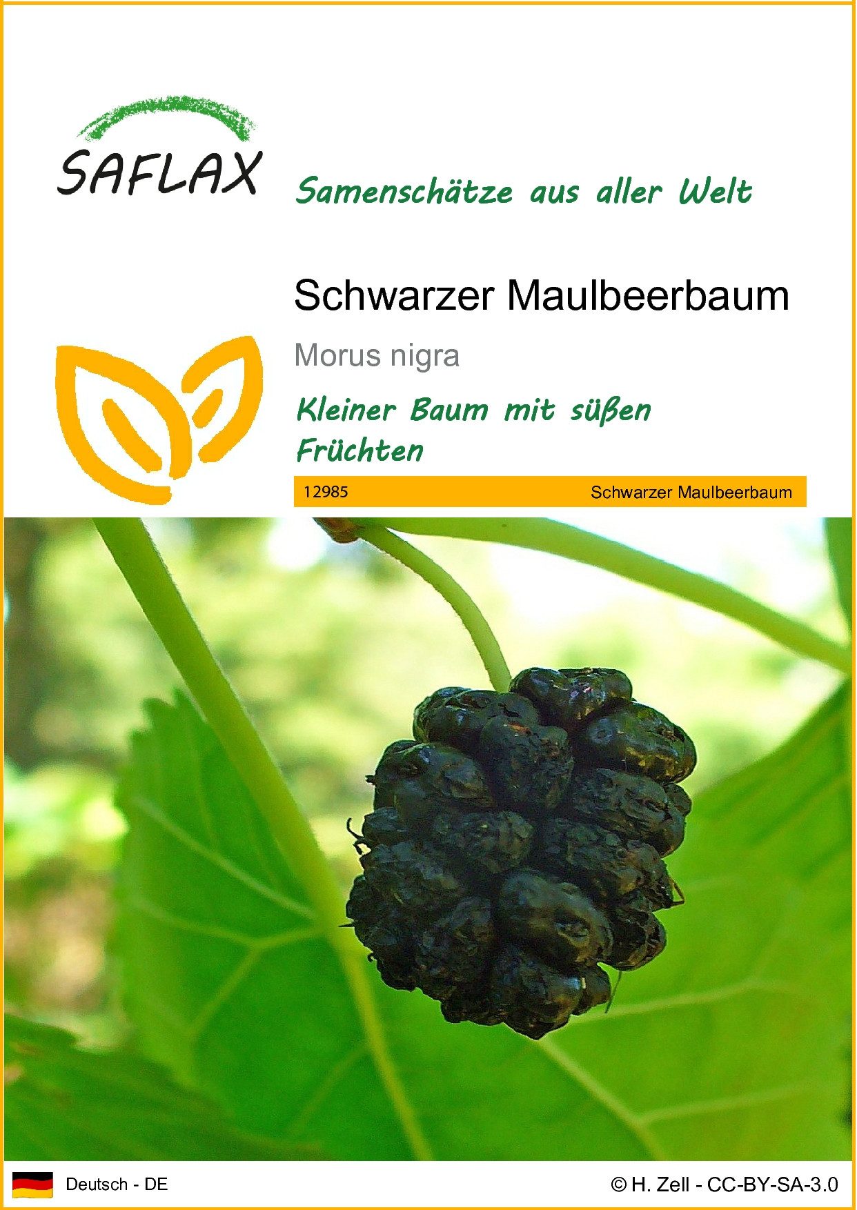 SAFLAX Blumensamen SAFLAX - Samen - günstig online kaufen