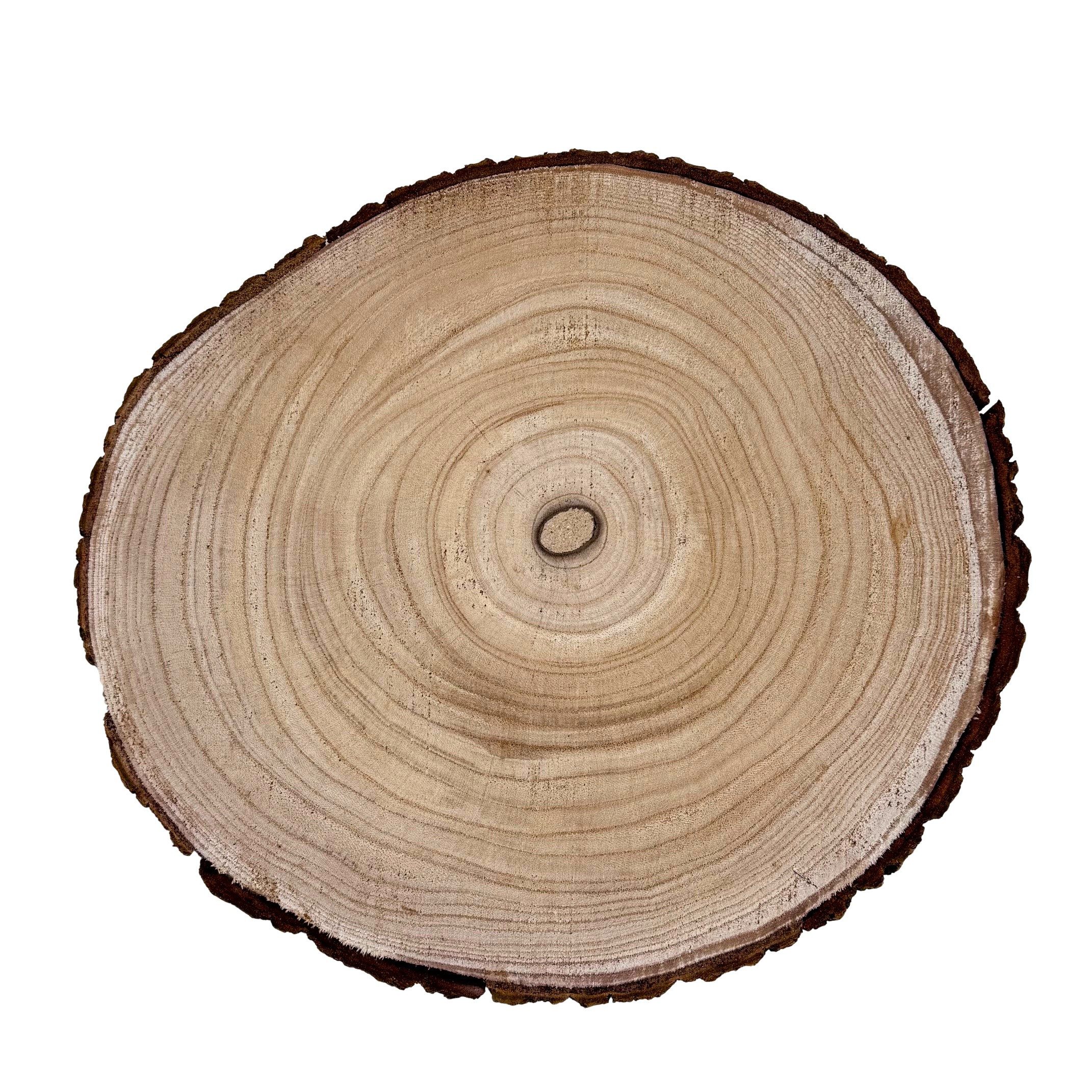 Online-Fuchs Dekotablett - Holzscheibe rund, Baumscheiben Tisch Deko natur - 30 cm Durchmesser (Paulowina Holz, ideal für saisonale Arrangements), natürliche Maserung mit einem rustikalem Rindenrand