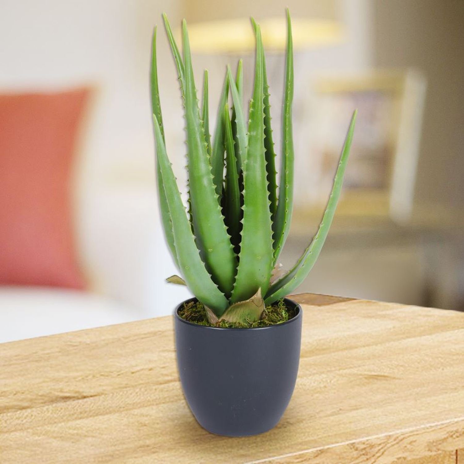 Kunstpflanze Künstliche BURI Aloe im Topf Dekopflanze Vera 45cm Kunstpflanze Blumentopf