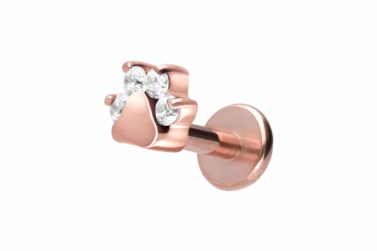 PIERCINGLINE Piercing-Set Titan Labret mit Innengewinde KRISTALLPFOTE (Labr günstig online kaufen