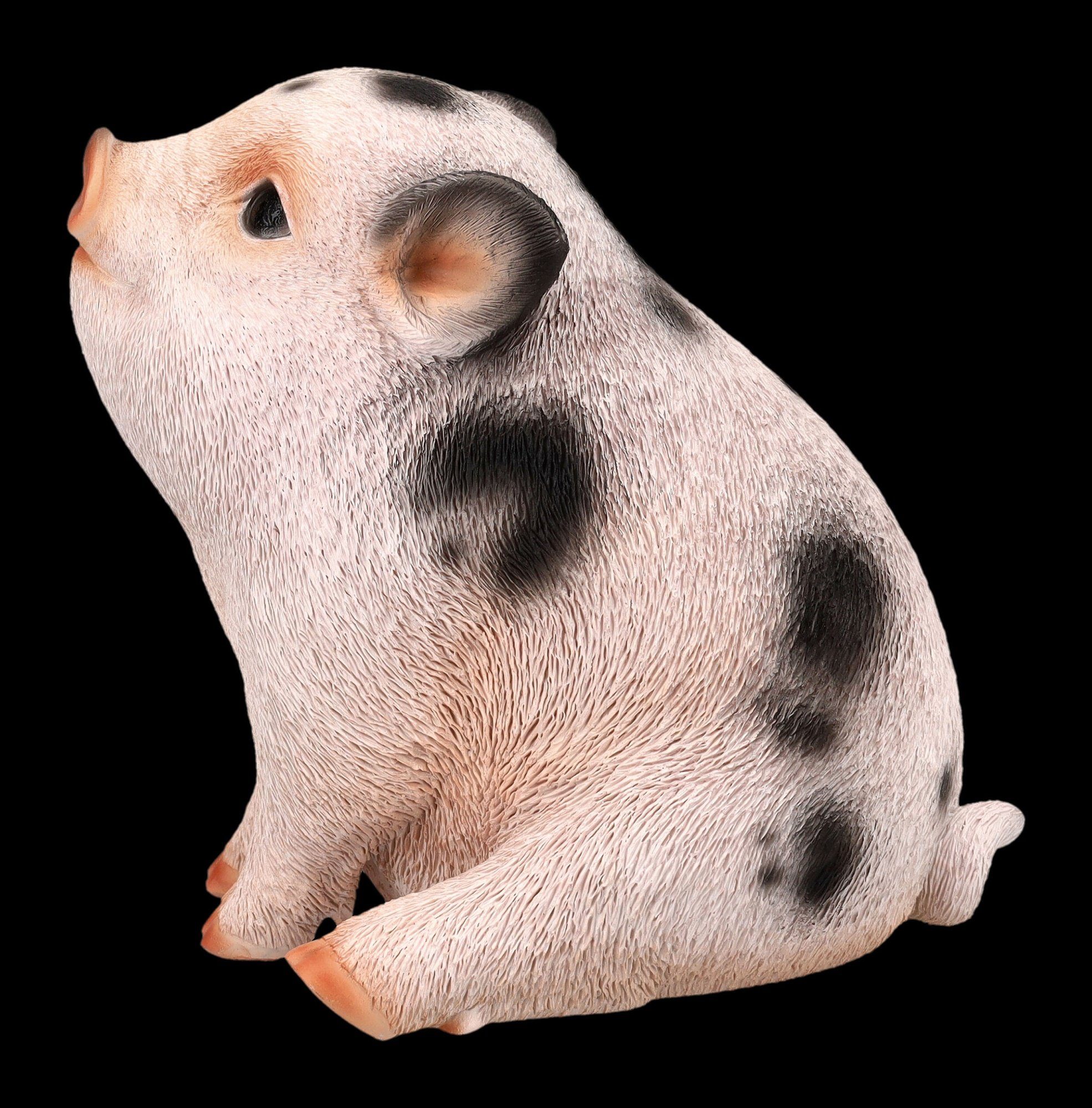 Figuren Shop Tierfigur Schweinchen Tierfigur Baby Schweine Geflecktes Dekofigur Ferkel - Figur - GmbH