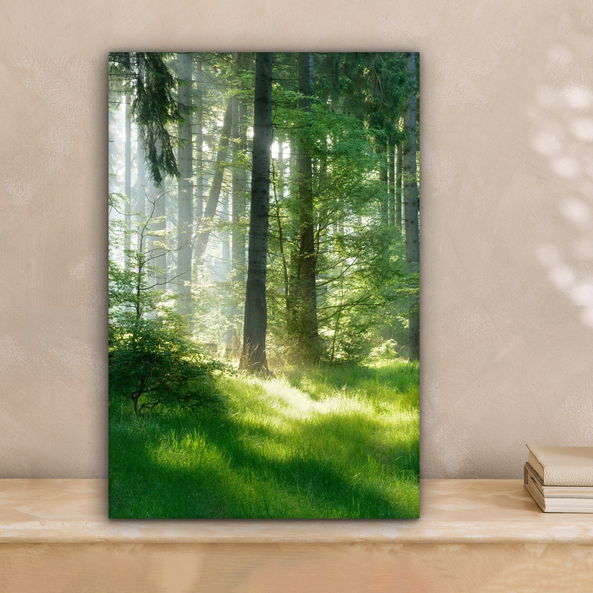 OneMillionCanvasses® Leinwandbild Natur - Bäume - Wald - Grün - Sonne - Gra günstig online kaufen
