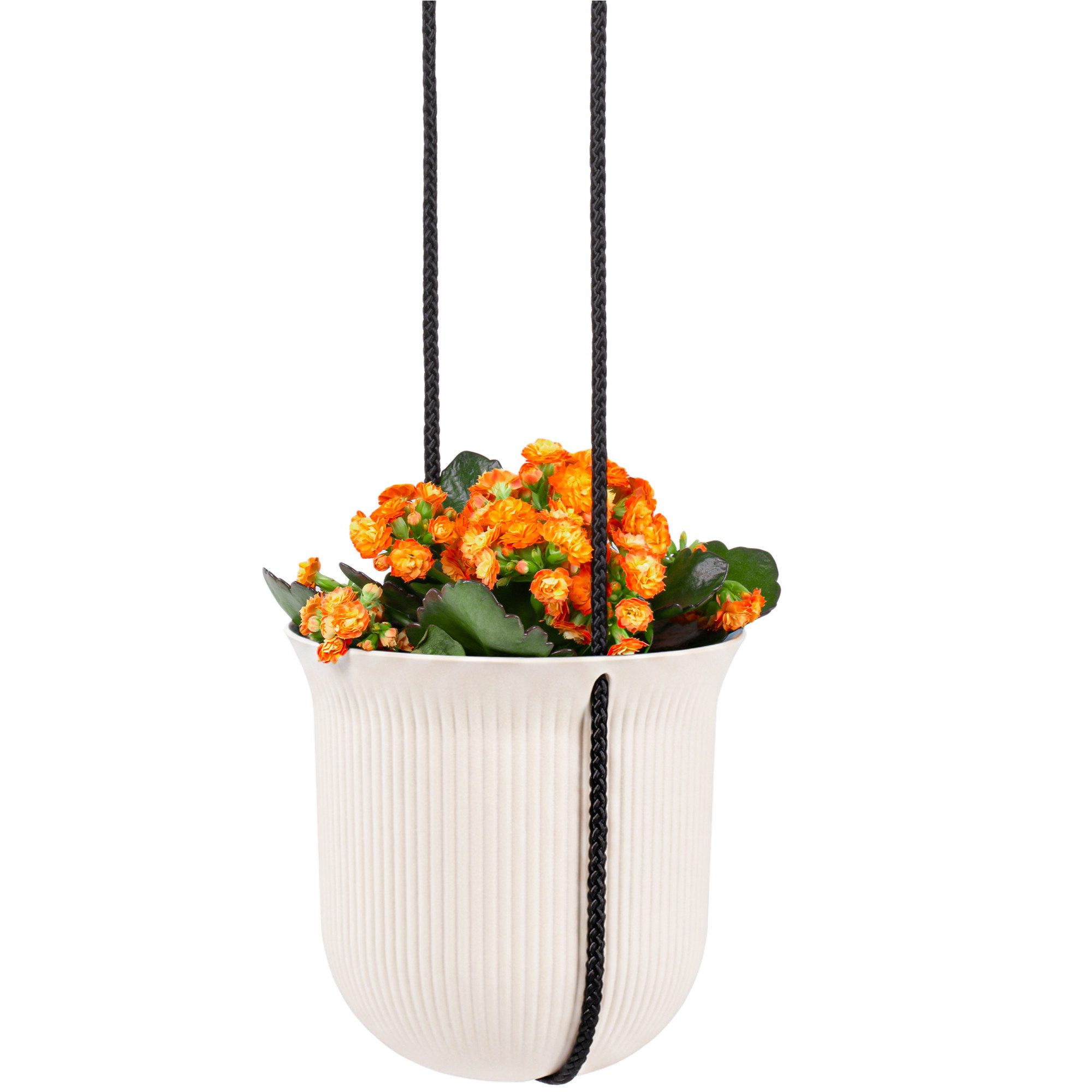 KONZEPT Blumenampel hängend, Ø 18 cm, 3-in-1 Set mit Topf, Halterung und Schnur, Rippen-Look, Aus Kunststoff, Wetter- & UV-beständig, Leicht
