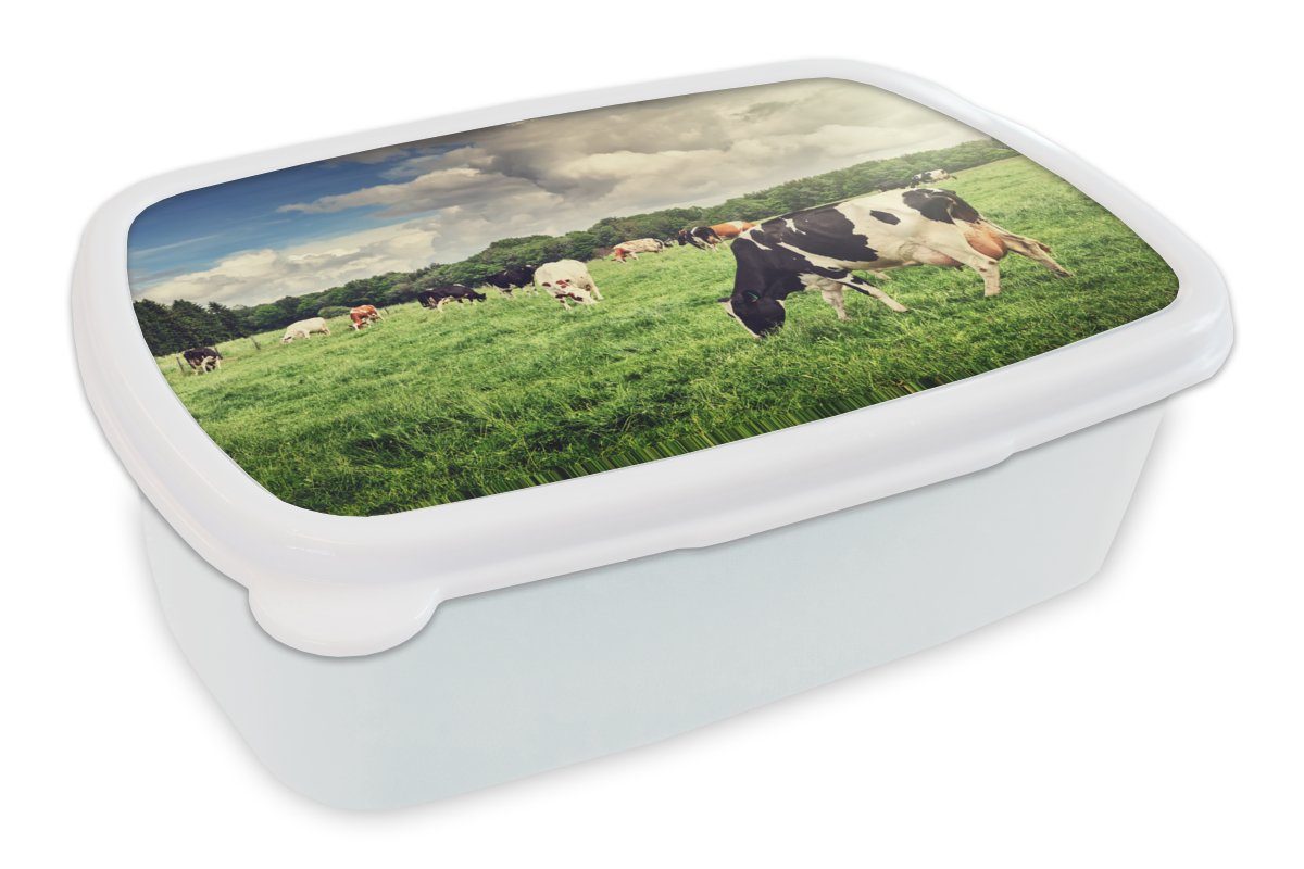 MuchoWow Lunchbox Kühe - Weide - Natur - Tiere - Landschaft, Kunststoff, (2-tlg), Brotbox für Kinder und Erwachsene, Brotdose, für Jungs und Mädchen weiß | Lunchboxen