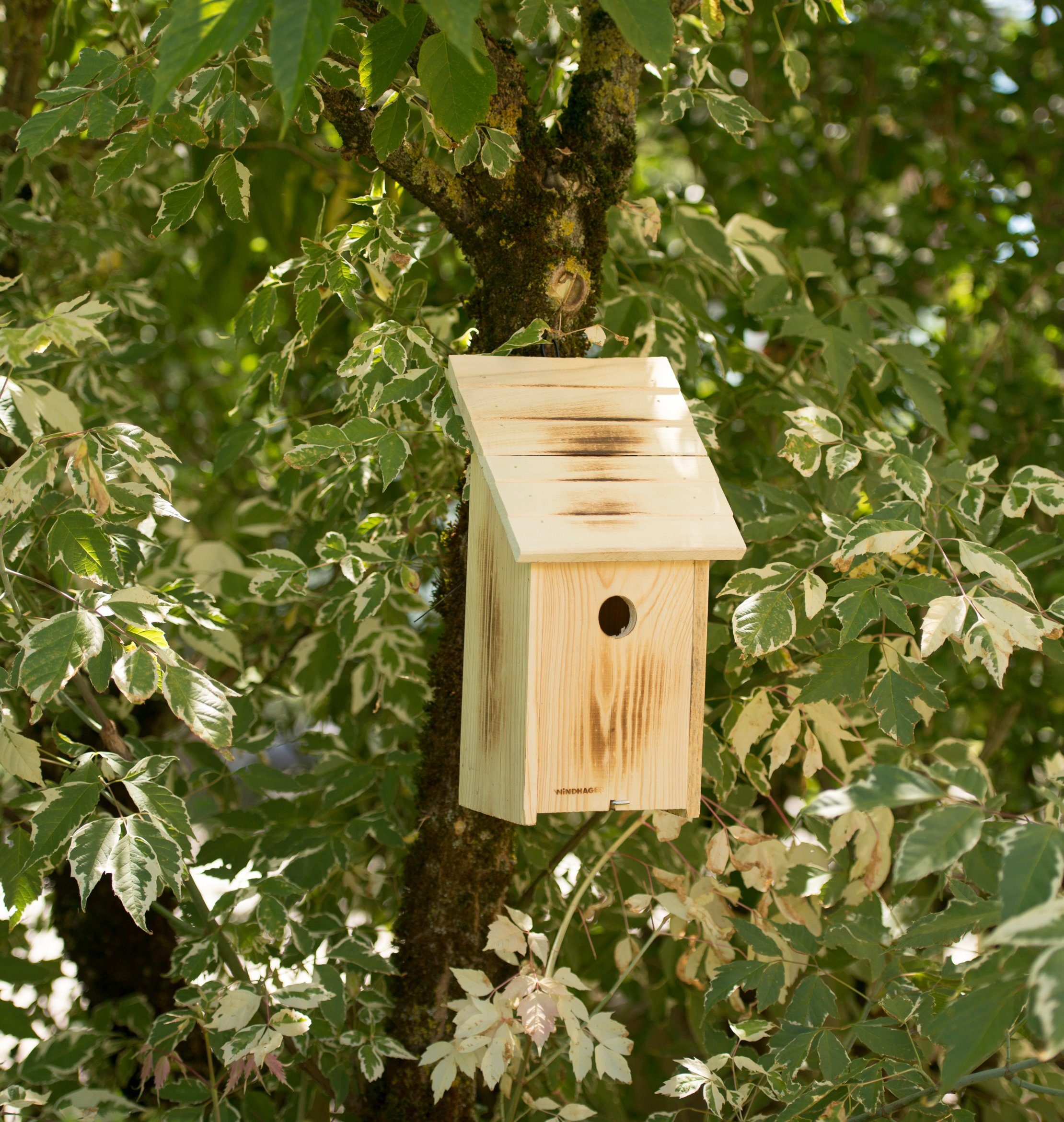 Windhager aus massivem Pappelholz, sicherer Brutplatz für Vögel, Brutquartier einfach zu reinigen, inkl. Aufhängung