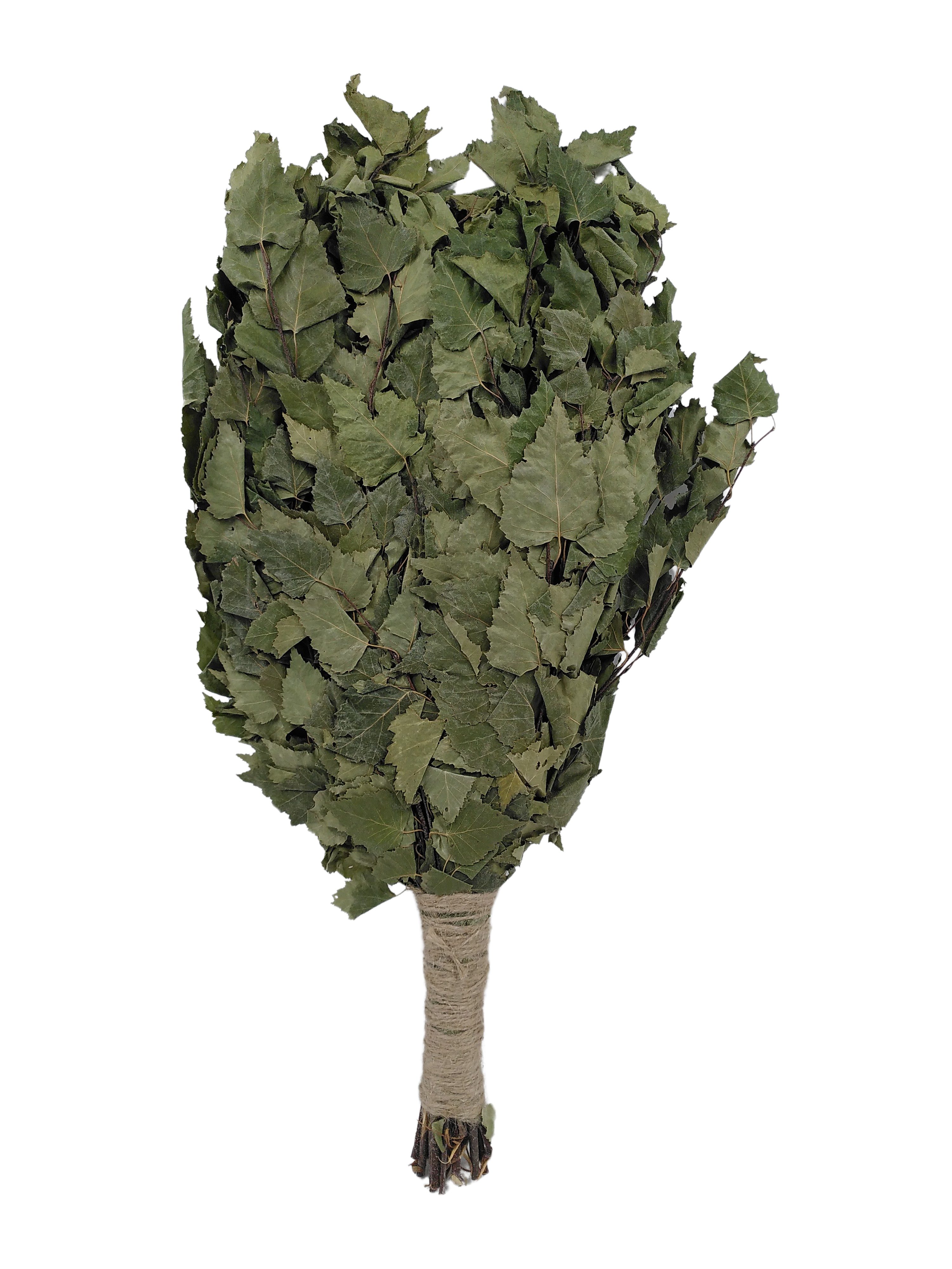 Dufte Momente Sauna-Aufgussset 1x Birkenreisig (Wenik für das Sauna-Ritual, günstig online kaufen