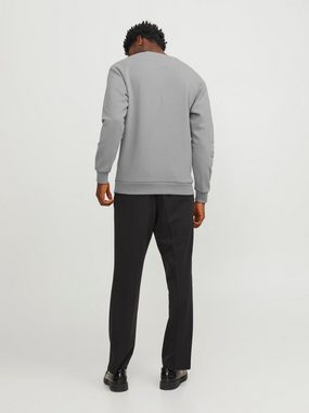 Jack & Jones Sweatshirt JJEBRADLEY SWEAT CREW NOOS