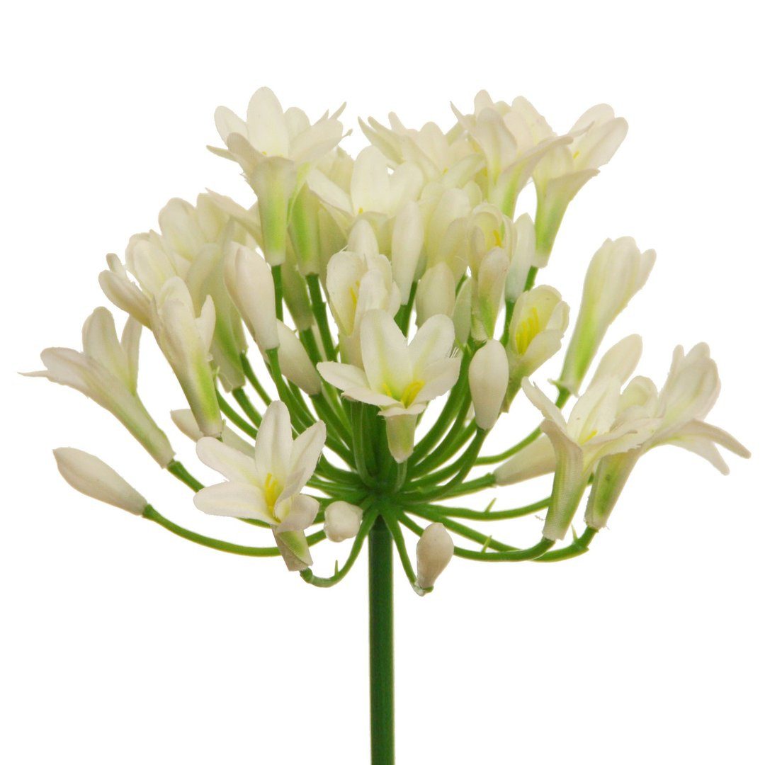 Kunstblume Kunstblume AGAPANTHUS ca 75cm. Liebesblumen, Schmucklilie, Floratexx GmbH, Höhe 75.00 cm