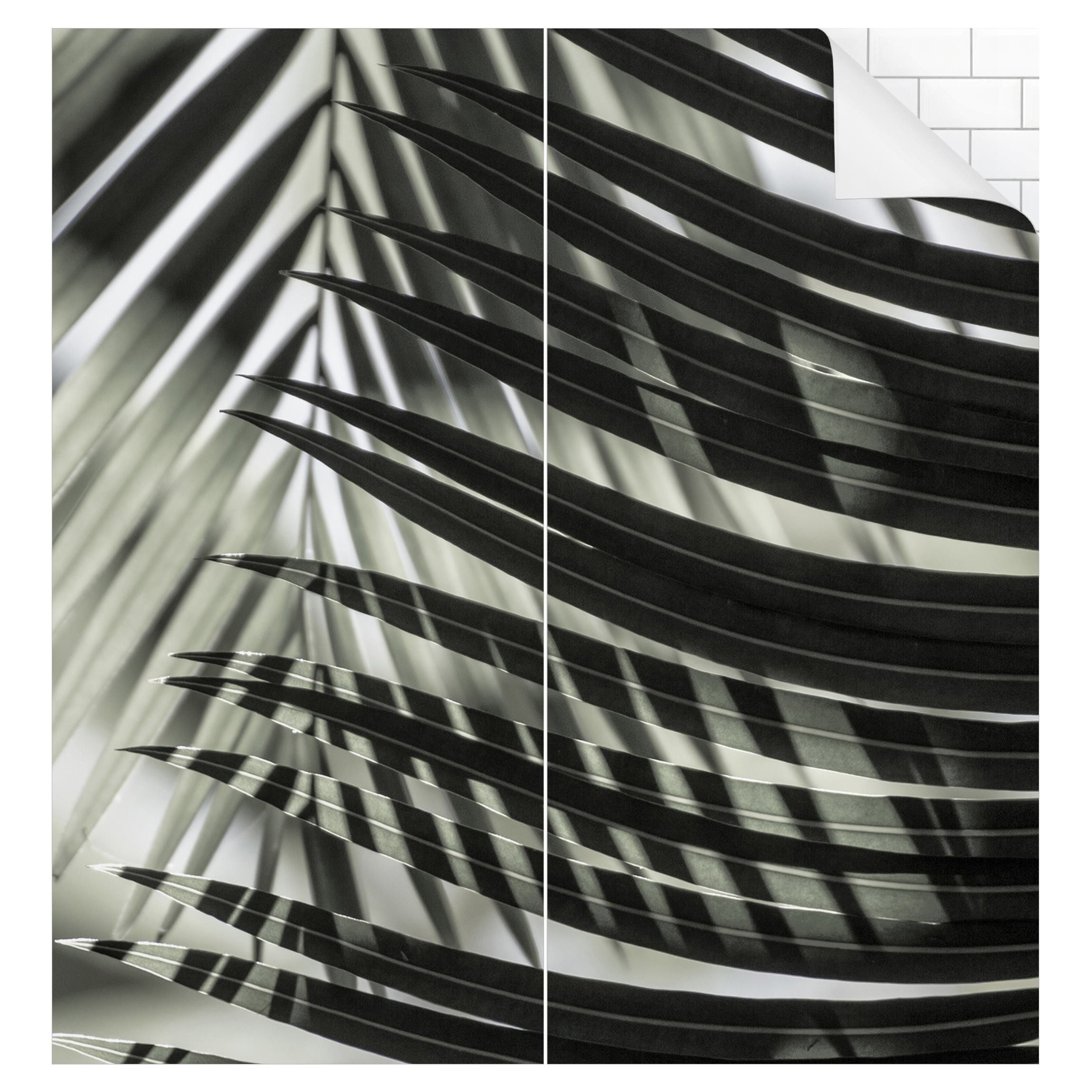 Bilderdepot24 Duschrückwand Fliesen Palme grün Duschrückwand ohne Bohren Du günstig online kaufen