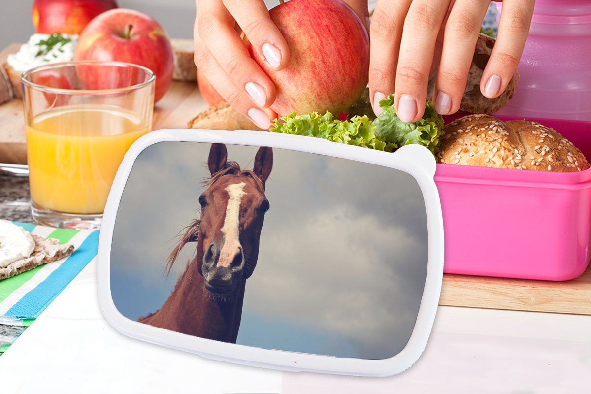 Kunststoff Pferd rosa Wolken Lunchbox MuchoWow Kinder, Snackbox, - Brotbox für - Mädchen, Porträt, Brotdose Erwachsene, Kunststoff, (2-tlg),