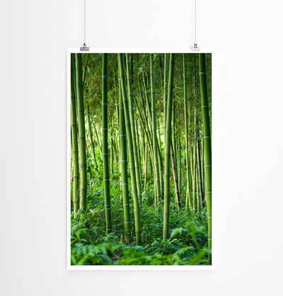 Sinus Art Poster 90x60cm Poster Naturfotografie Entspannender Bambuswald