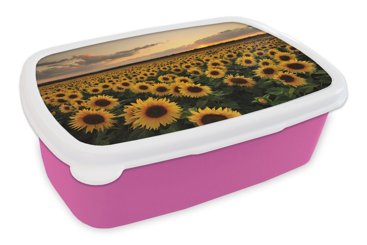 MuchoWow Lunchbox Sonnenblumen bei Sonnenuntergang, Kunststoff, (2-tlg), Brotbox für Erwachsene, Brotdose Kinder, Snackbox, Mädchen, Kunststoff rosa