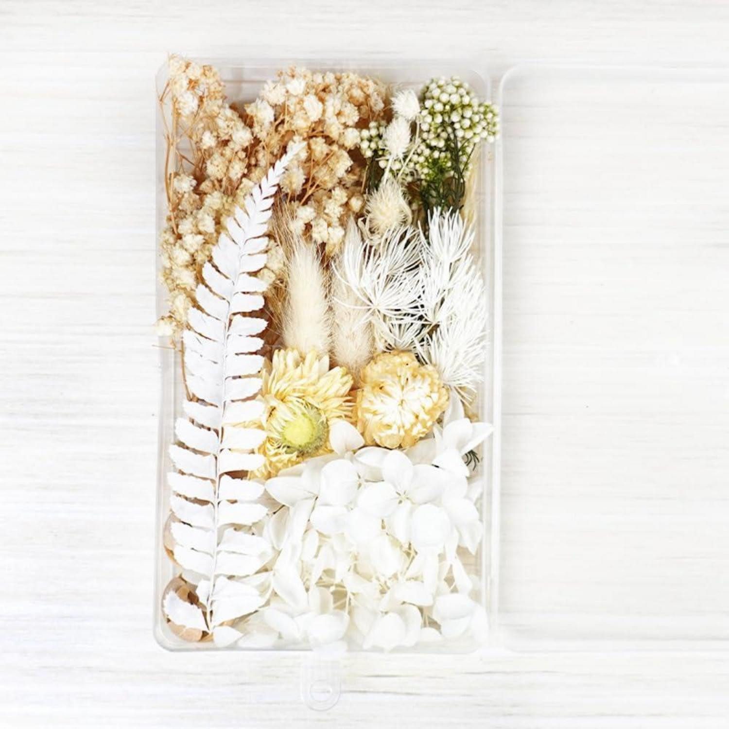 Trockenblume Getrocknete Blumen Mix Weiss, LuxusKollektion