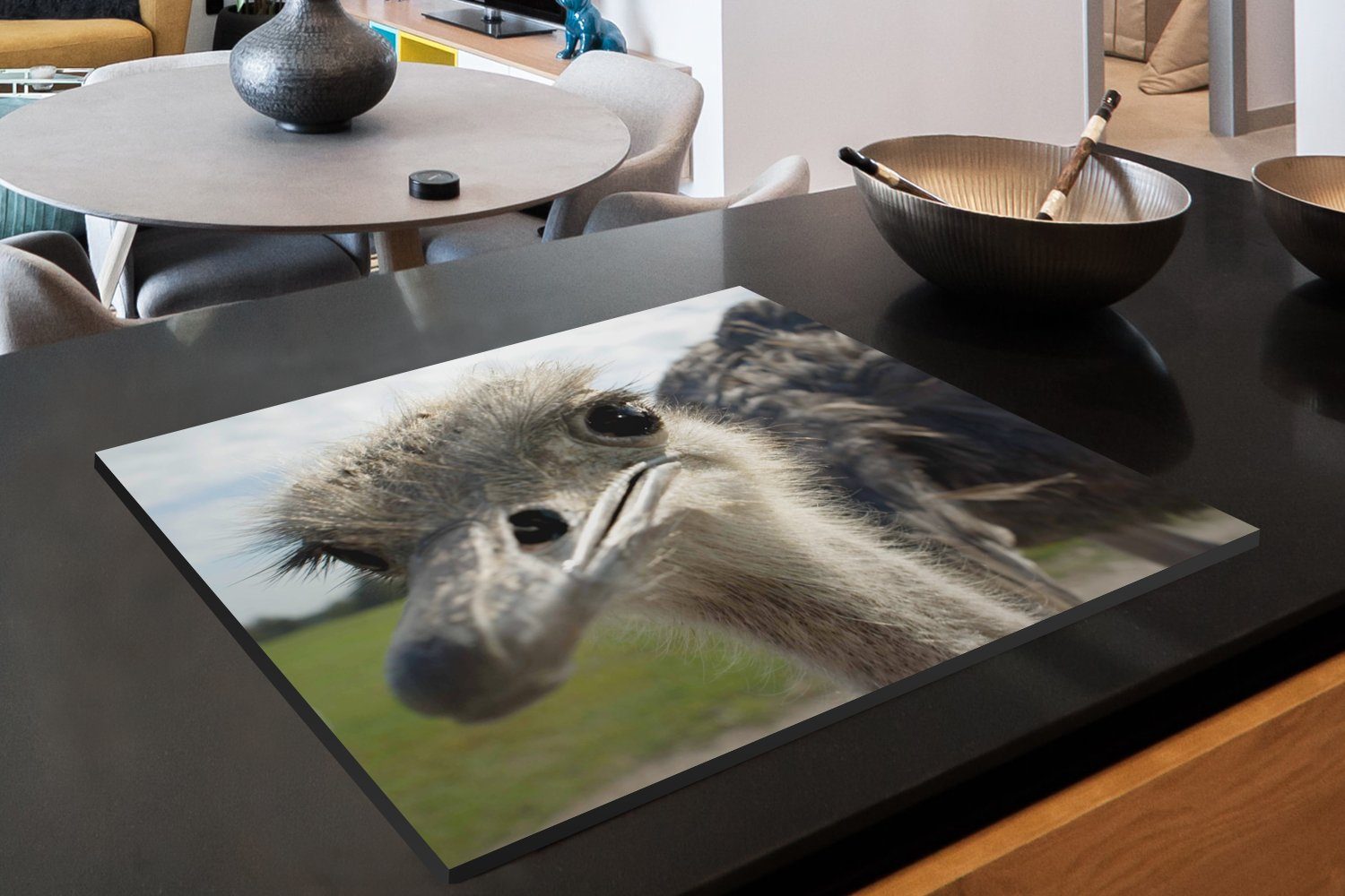 MuchoWow Herdblende-/Abdeckplatte Eine Nahaufnahme eines Emus, Arbeitsfläche grauen tlg), nutzbar, Vinyl, Mobile (1 70x52 cm, Ceranfeldabdeckung