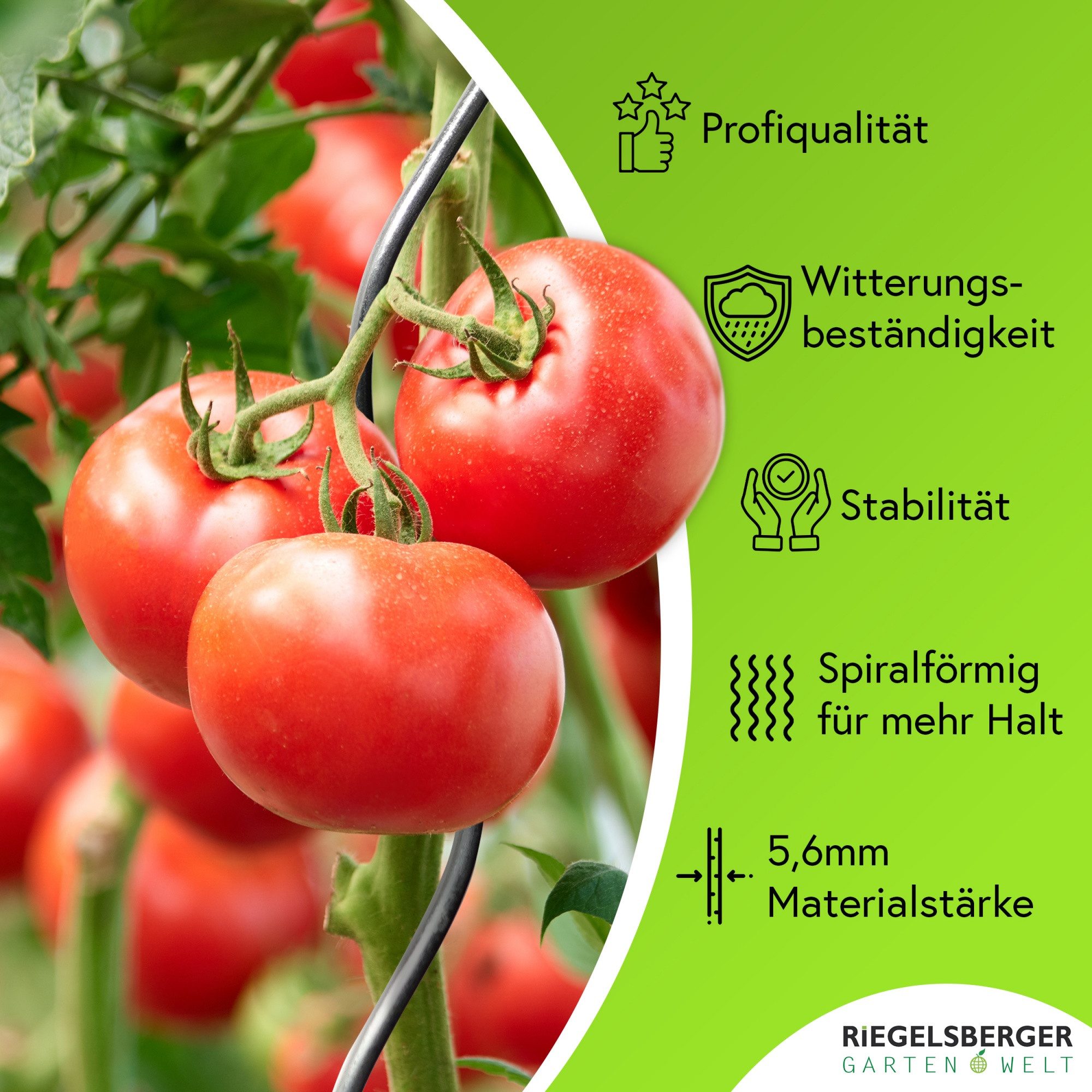 Gartenwelt Riegelsberger Tomatengewächs...