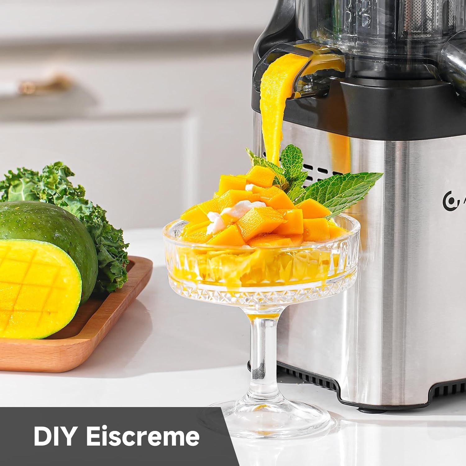 AMZCHEF Slow Juicer CE-ZM19OT02M-SV, 220 W
