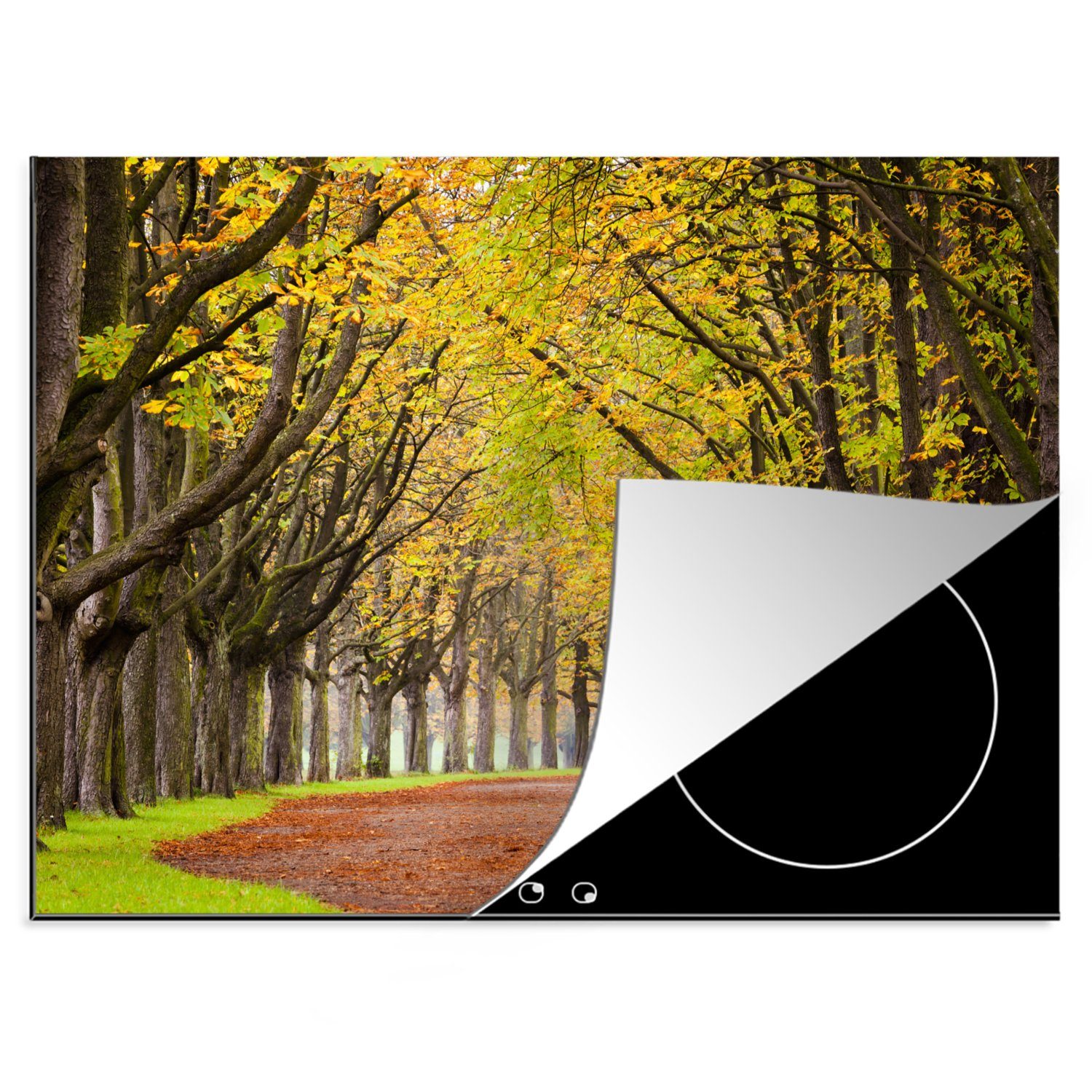 MuchoWow Herdblende-/Abdeckplatte Kastanienbäume im Herbst, Vinyl, (1 tlg), 70x52 cm, Mobile Arbeitsfläche nutzbar, Ceranfeldabdeckung