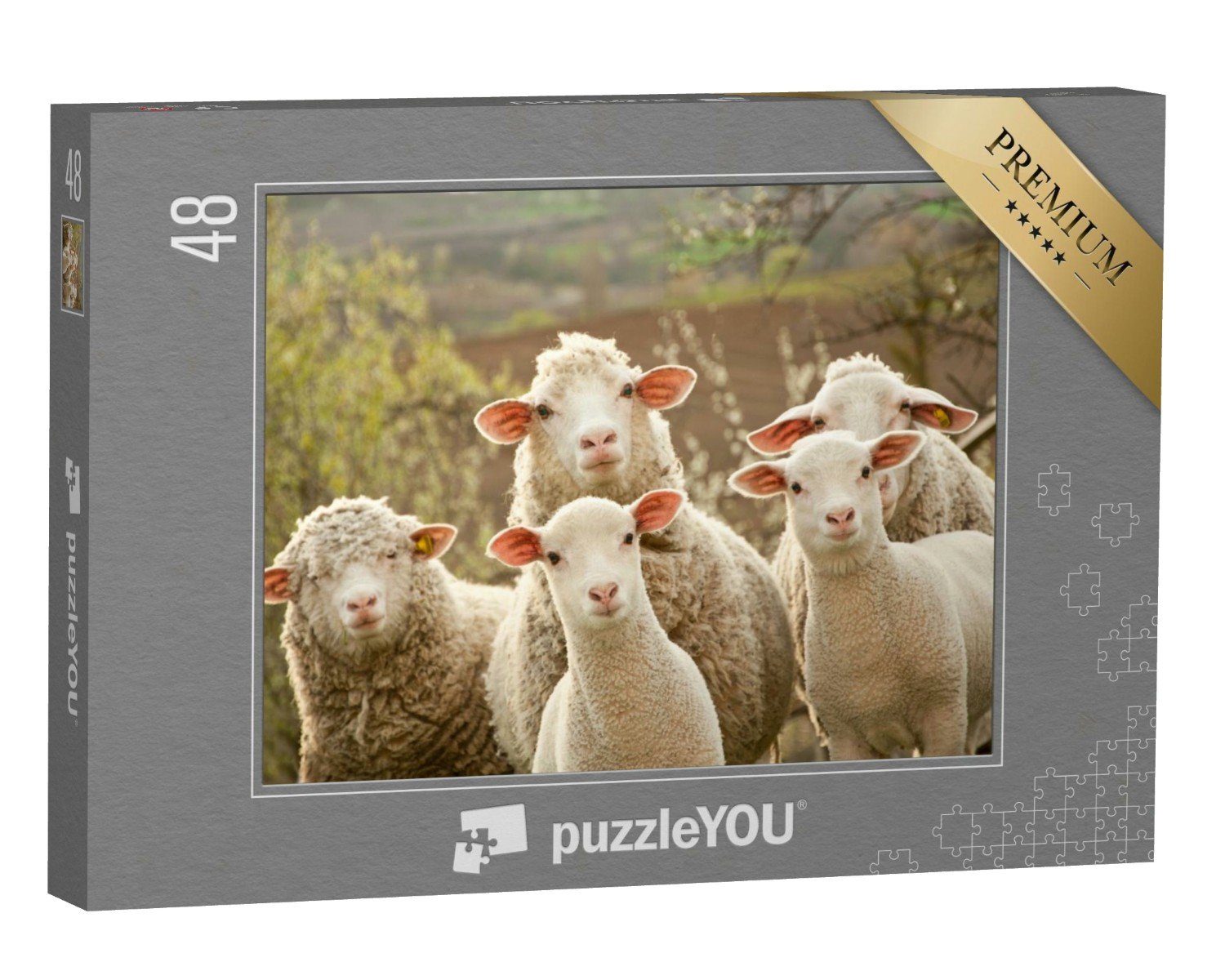 puzzleYOU Puzzle Neugierige Schafe, 48 Puzzleteile, puzzleYOU-Kollektionen Schafe & Lämmer