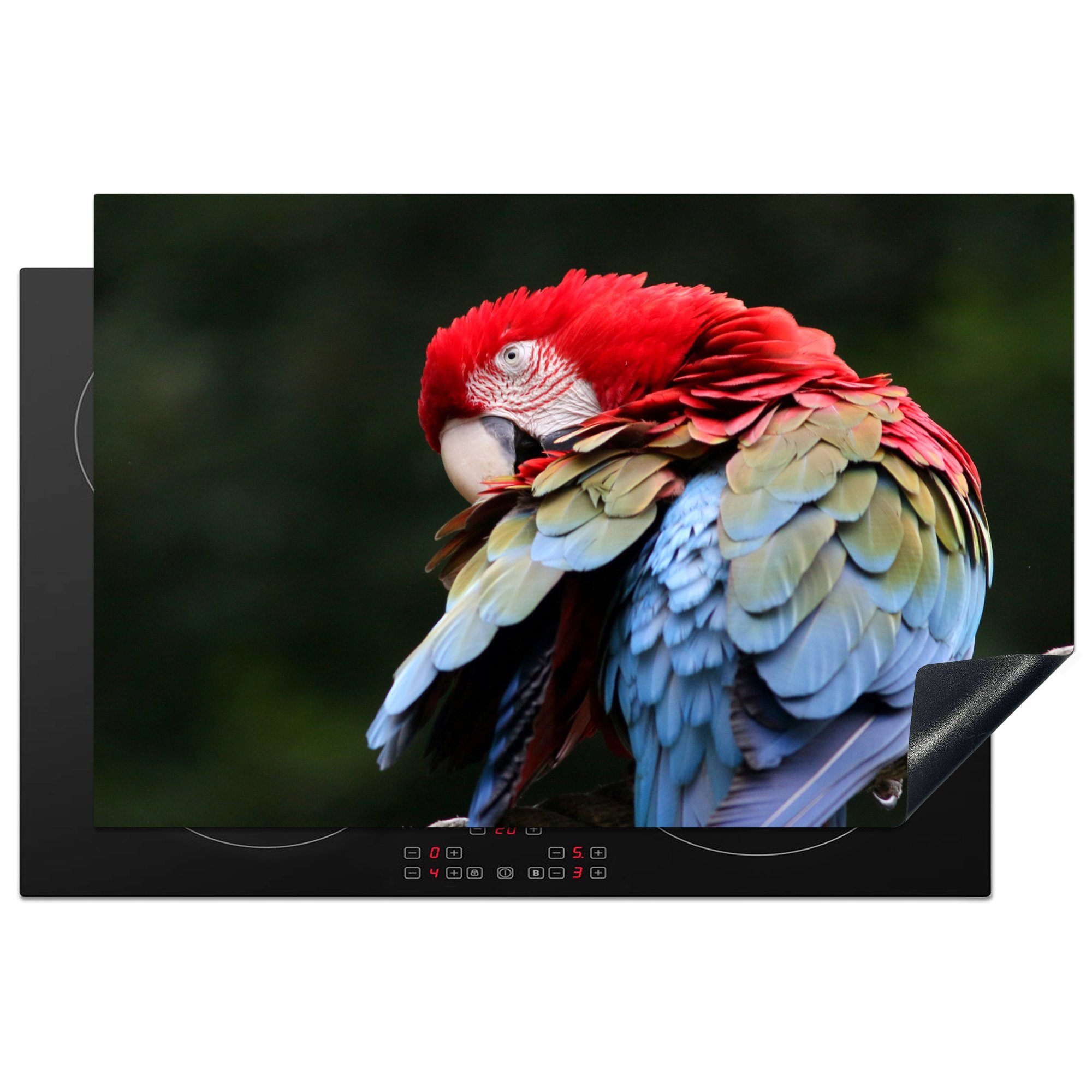 Papagei Herdblende-/Abdeckplatte - cm, küche, Rot - - für 81x52 Schutz Induktionskochfeld Federn Vinyl, Grün, MuchoWow Ceranfeldabdeckung tlg), - Ara (1 die