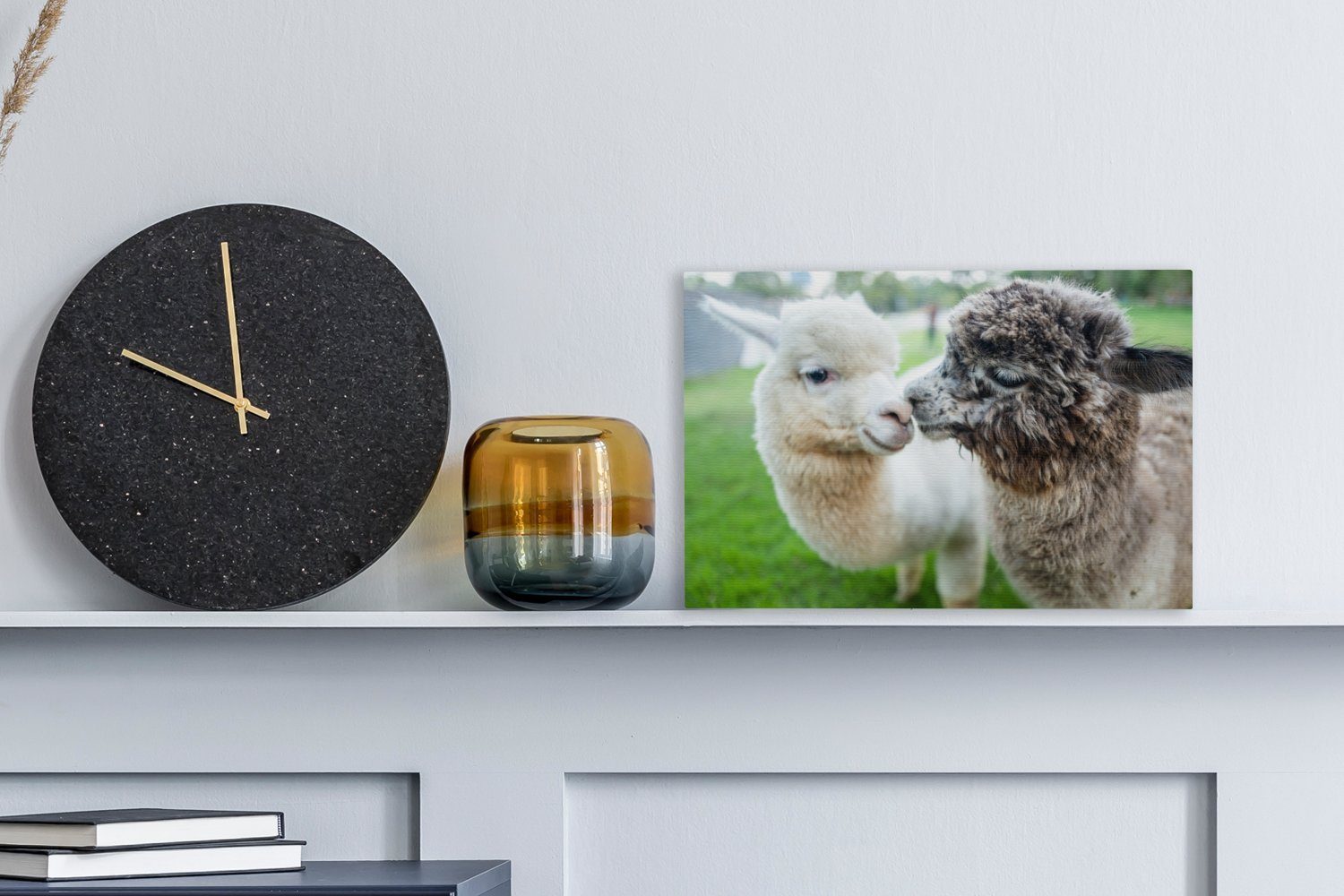 OneMillionCanvasses® Leinwandbild Liebe - Alpaka - günstig online kaufen