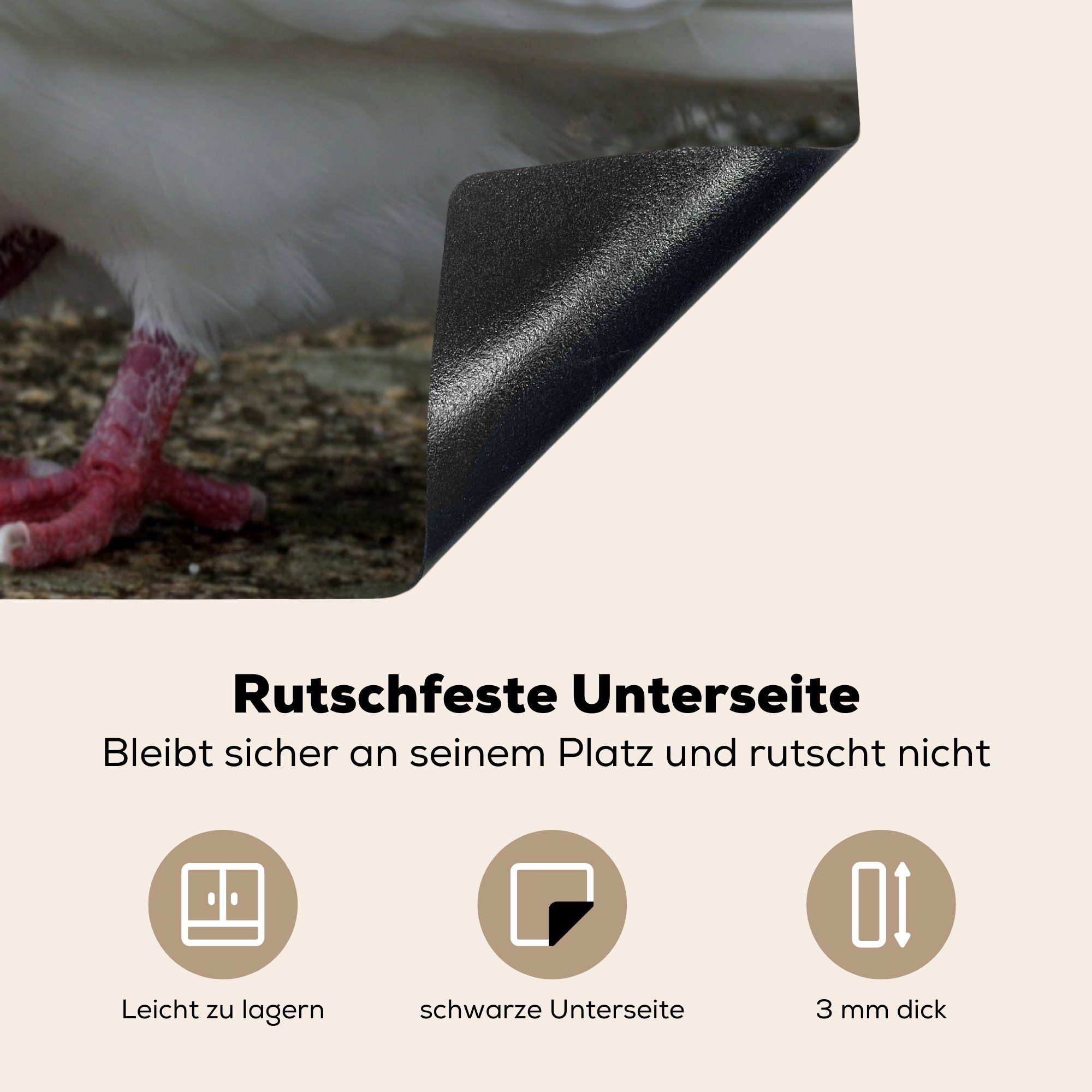 MuchoWow Herdblende-/Abdeckplatte cm, für Arbeitsplatte (1 Taube Weiß küche Vogel, - tlg), - Ceranfeldabdeckung, Vinyl, 78x78