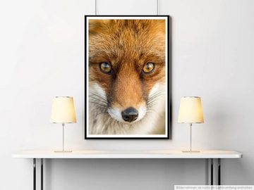 Sinus Art Poster Roter europäischer Fuchs 60x90cm Poster