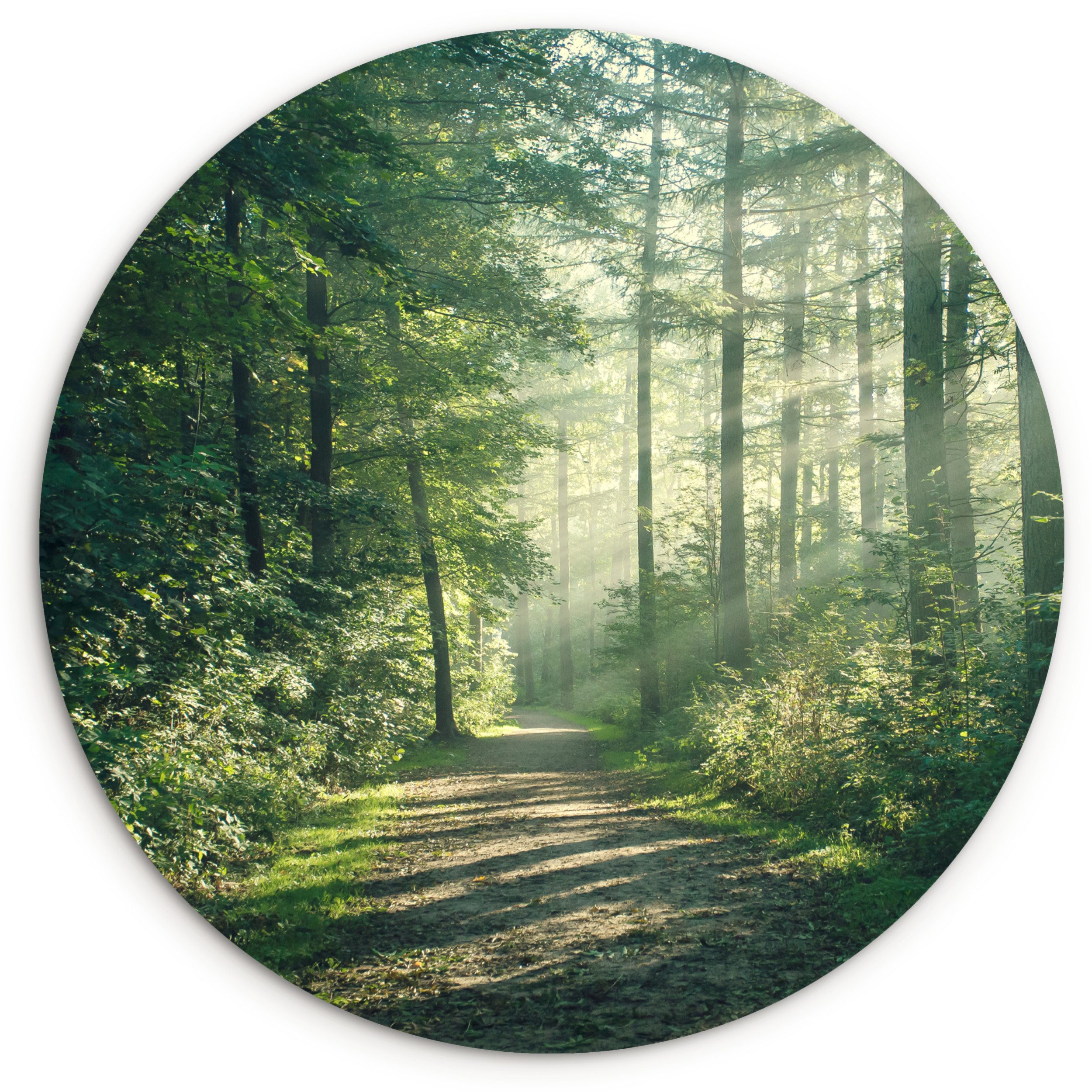 MuchoWow Gemälde Wald - Weg - Sonne - Bäume - Grün - Natur, Fotodruck (1 St), Kreis Wanddekoration, Rundes Wandbild, 30x30 cm