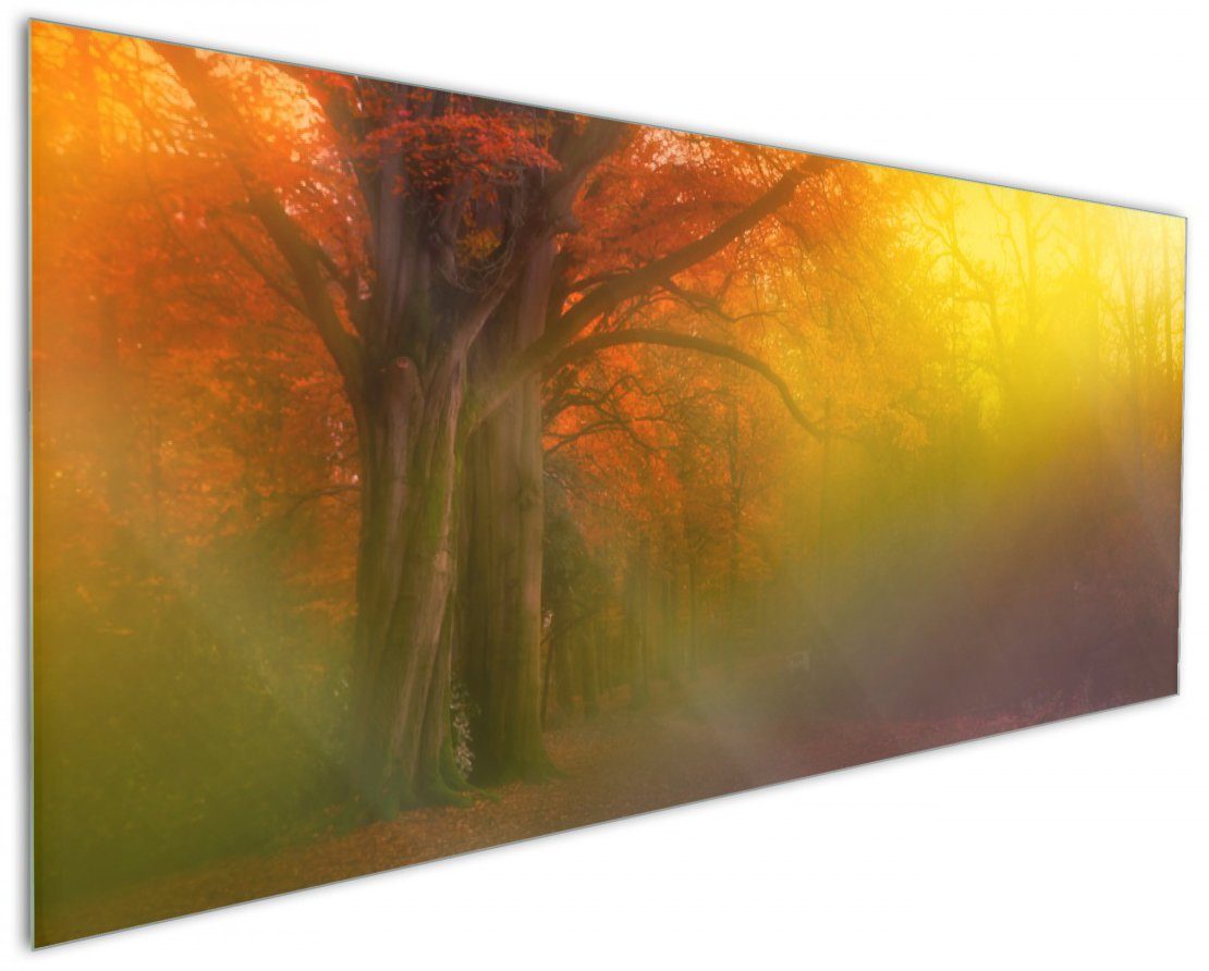 bei Küchenrückwand Bunter in Nebel Waldlandschaft Wallario Herbst (1-tlg) Regenbogenfarben, -