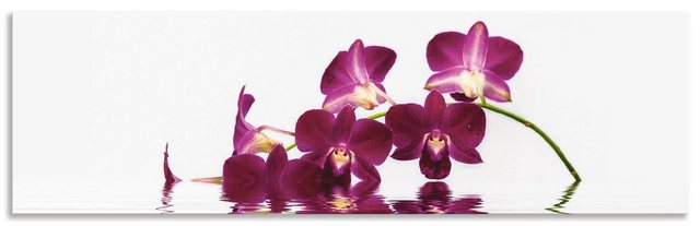 Artland Küchenrückwand »Phalaenopsis Orchidee«, (1-tlg), selbstklebend in vielen Größen - Spritzschutz Küche hinter Herd u. Spüle als Wandschutz vor Fett, Wasser u. Schmutz - Rückwand, Wandverkleidung aus Alu-Otto
