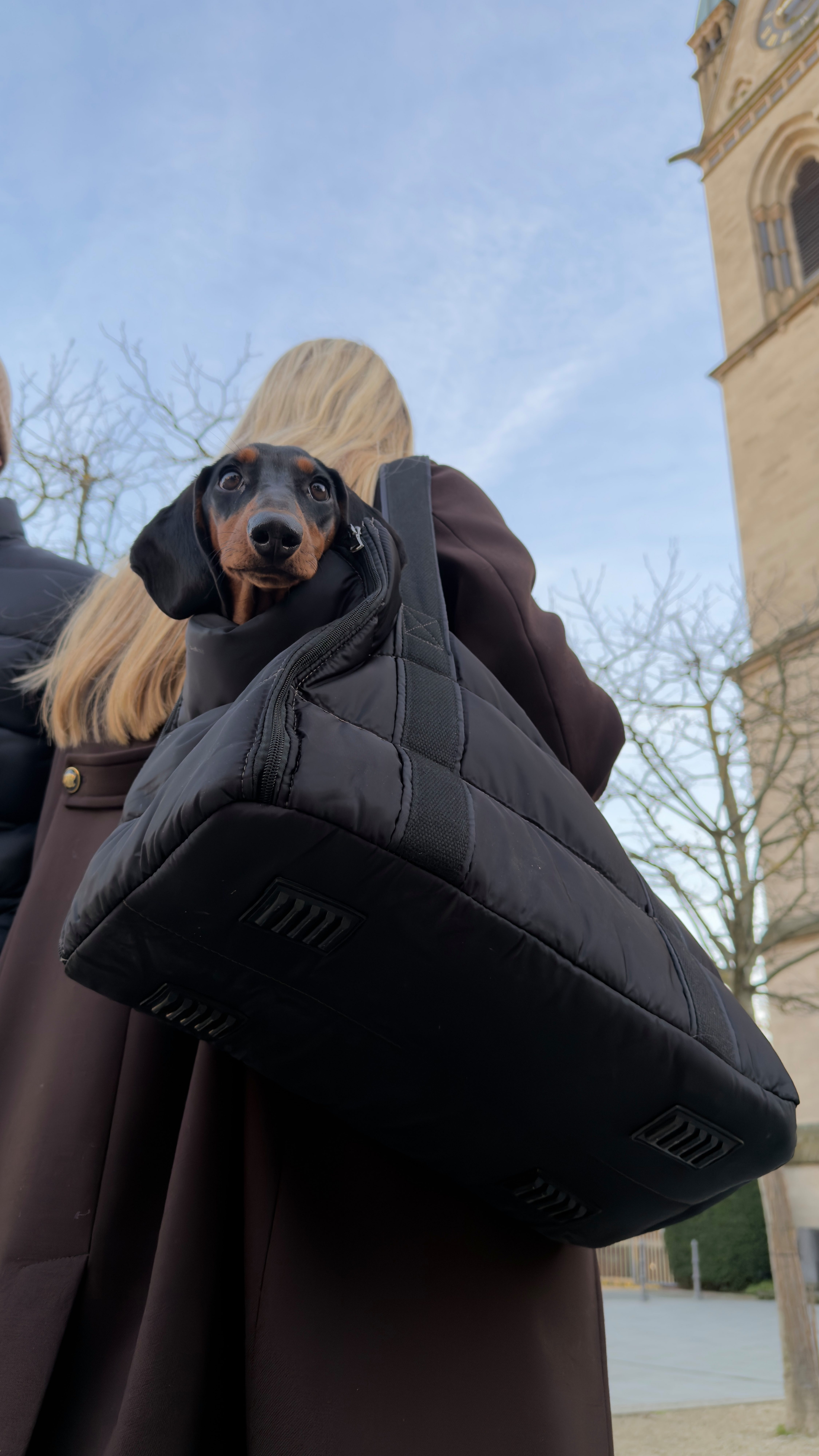 kakidogs Tiertransporttasche Hundetasche Cleo für kleine Hunde bis 10 kg, Premium Tragetasche bis 10 kg