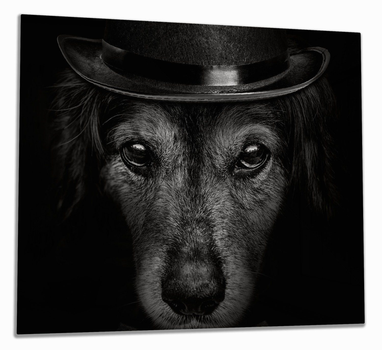 Wallario Herd-Abdeckplatte Eleganter Hund mit Zylinder in schwarz-weiß, ESG-Sicherheitsglas, (Glasplatte, 1 tlg., inkl. 5mm Noppen), verschiedene Größen