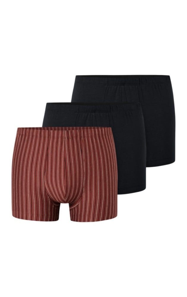 Schiesser Boxershorts Unterwäsche 95/5 Organic Cotton mehrfarbig schwarz/rotbraun/gestreift