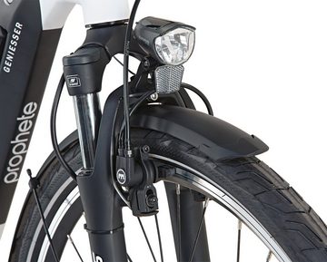 Prophete E-Bike Geniesser 22.EMC.20, 7 Gang Shimano Nexus Schaltwerk, Nabenschaltung, Frontmotor, 374 Wh Akku