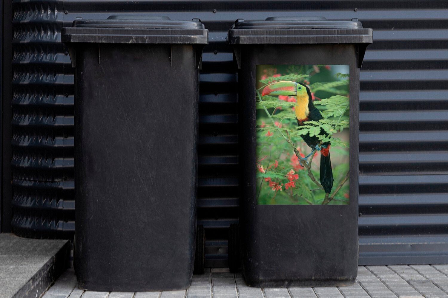 (1 Mülltonne, der Mülleimer-aufkleber, Schwefelschnabelkuckuck MuchoWow roten Container, Blätter inmitten Sticker, Abfalbehälter Ein Wandsticker St),