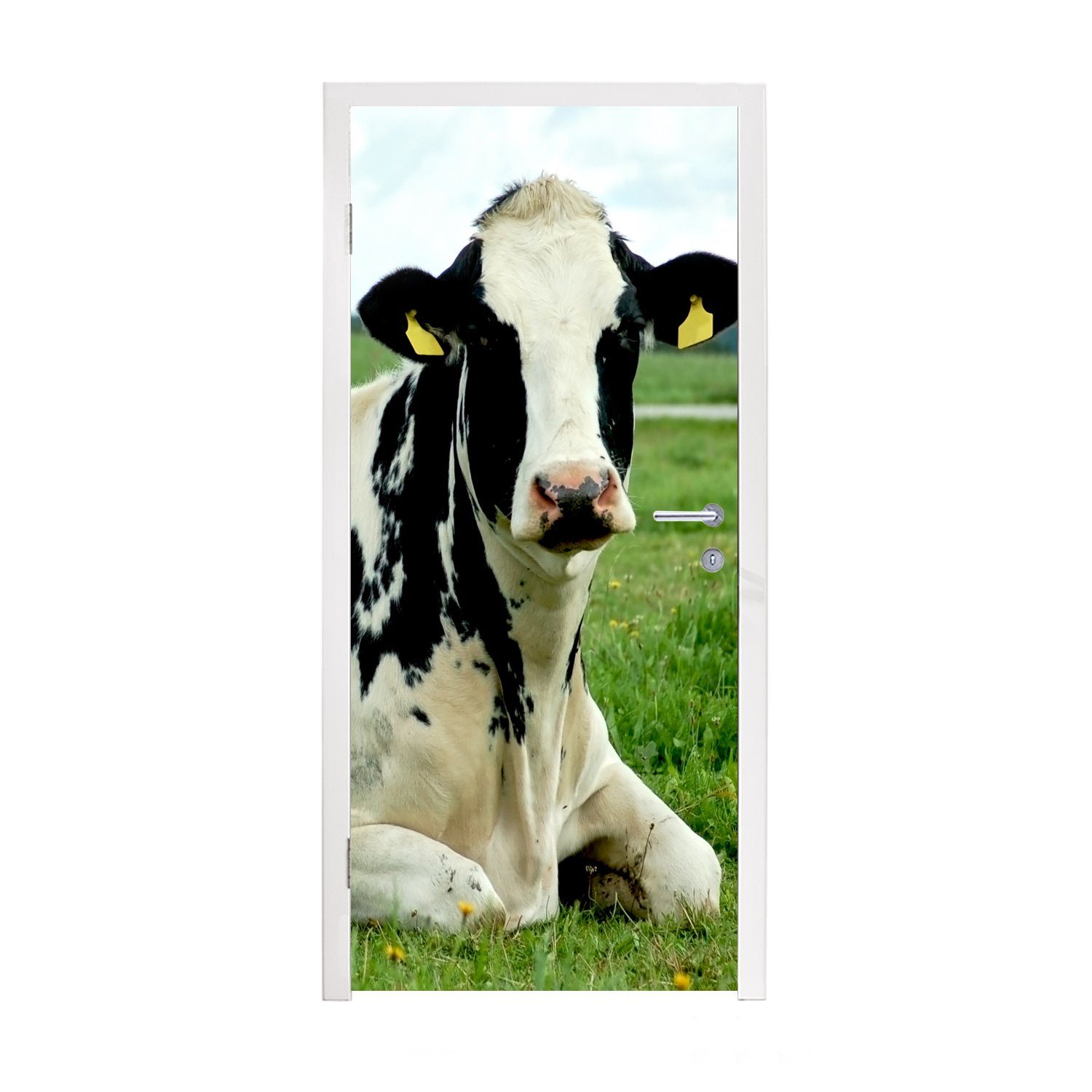 MuchoWow Türtapete Kuh - Friesland - Tier, Matt, bedruckt, (1 St), Fototapete für Tür, Türaufkleber, 75x205 cm