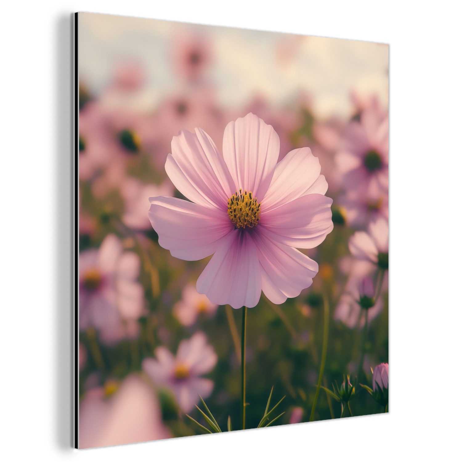 MuchoWow Metallbild Blumen - Lila - günstig online kaufen