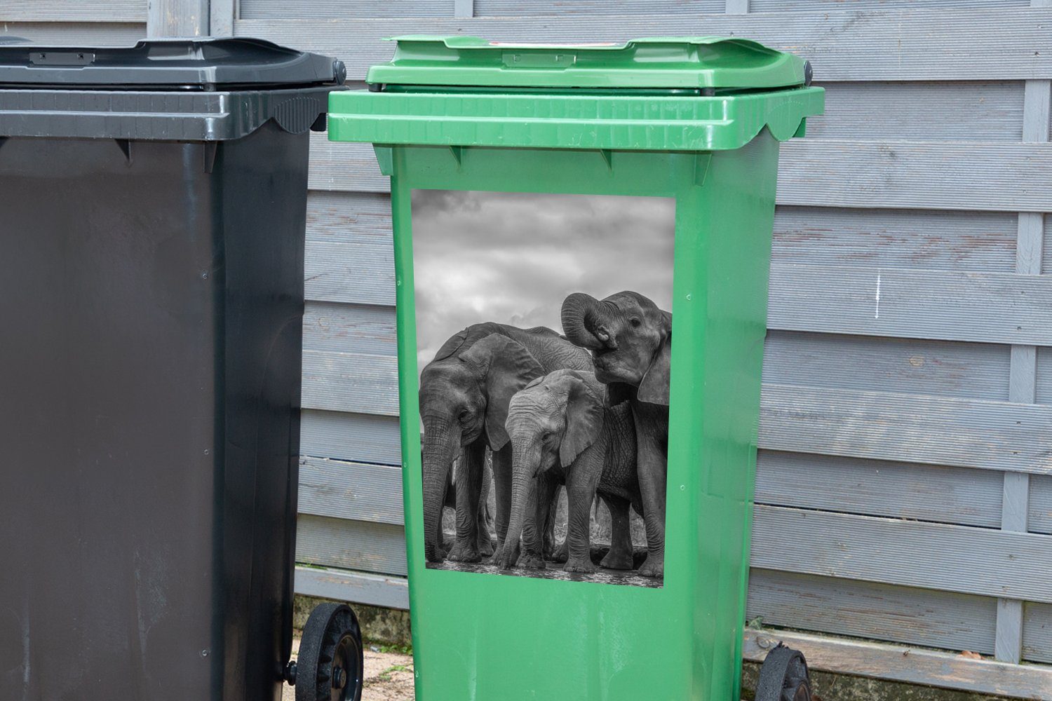 - Abfalbehälter St), - Tiere - weiß Schwarz Wandsticker Elefant Wasser Mülleimer-aufkleber, Container, und Mülltonne, (1 MuchoWow Sticker,